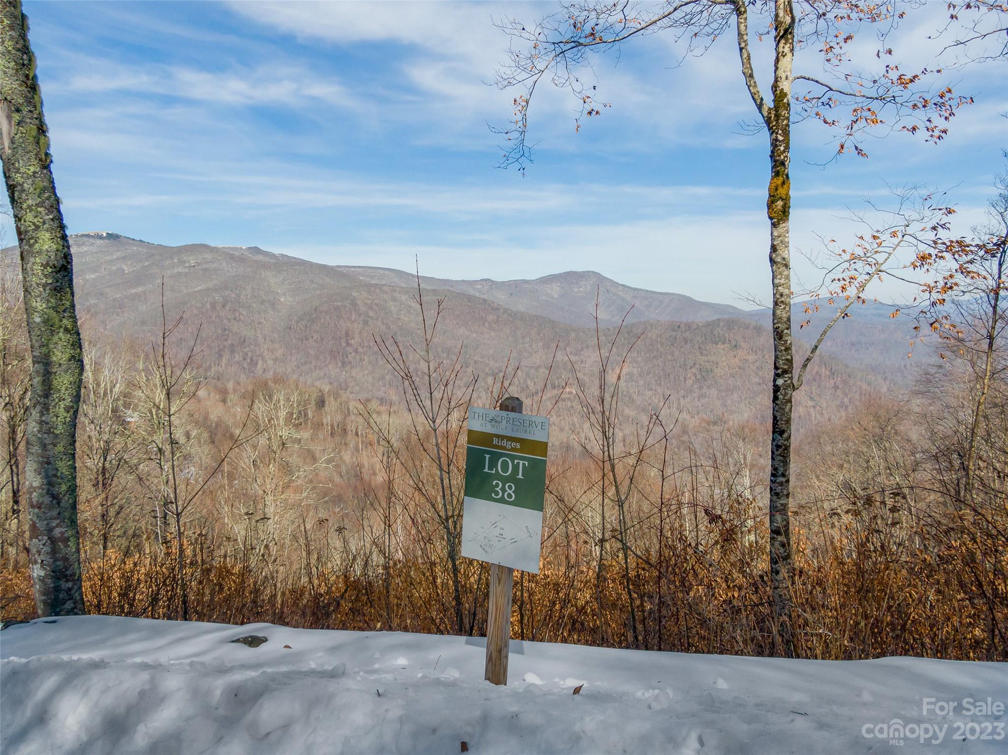 Lot 38 Black Bear Run Property Photo 1