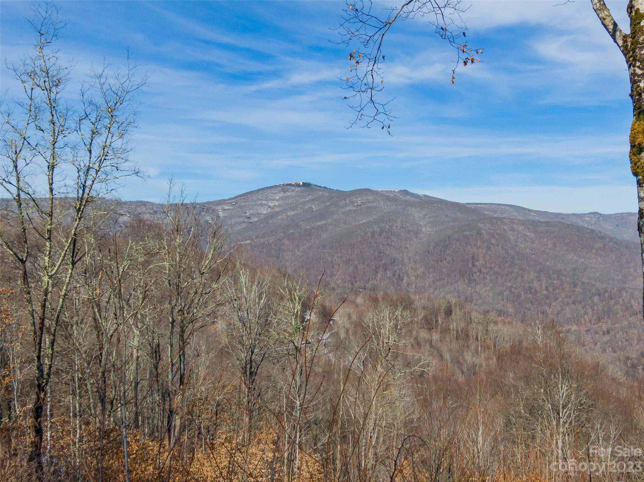 Lot 38 Black Bear Run Property Photo 5