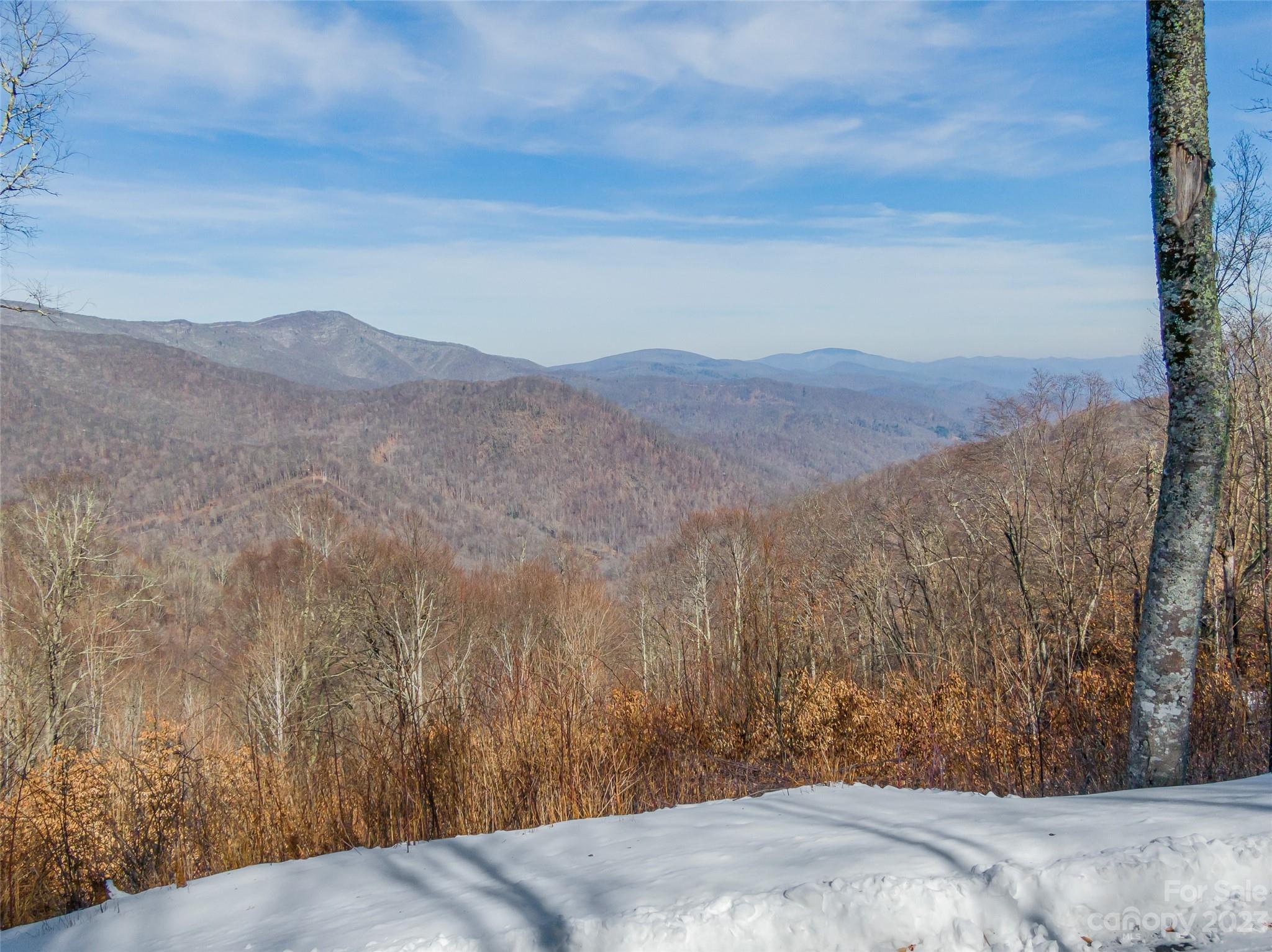 Lot 38 Black Bear Run Property Photo 6