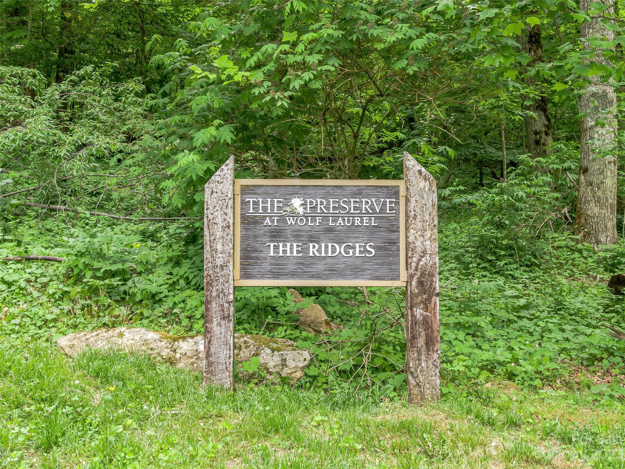 Lot 38 Black Bear Run Property Photo 7