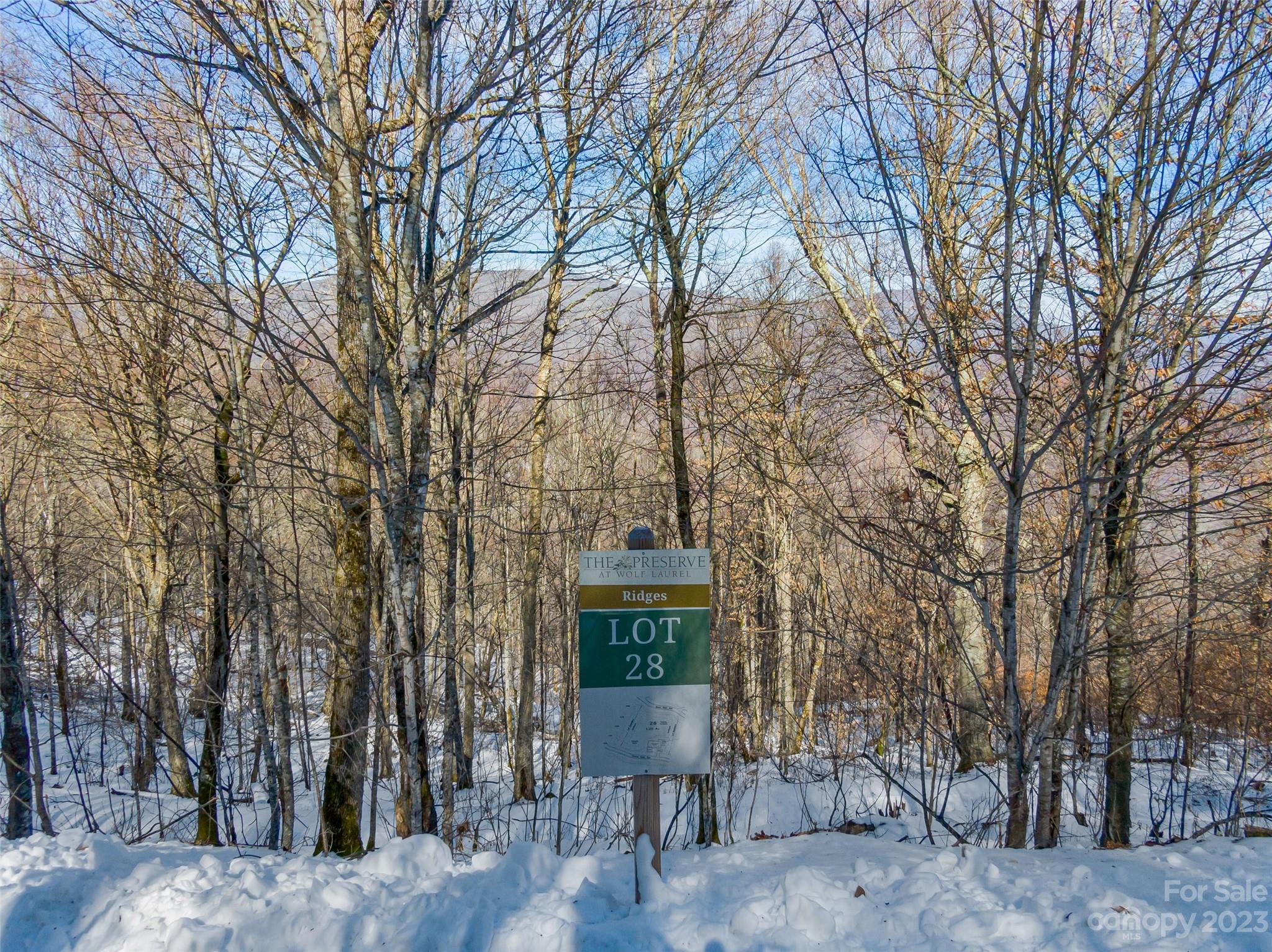 Lot 28 Black Bear Run Property Photo 1