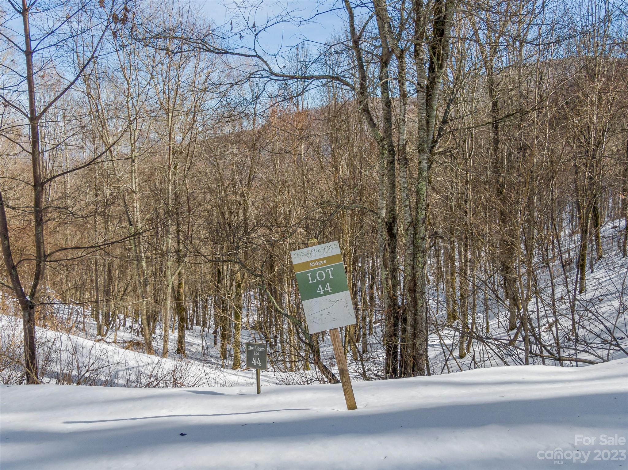 Lot 44 Black Bear Run Property Photo 1