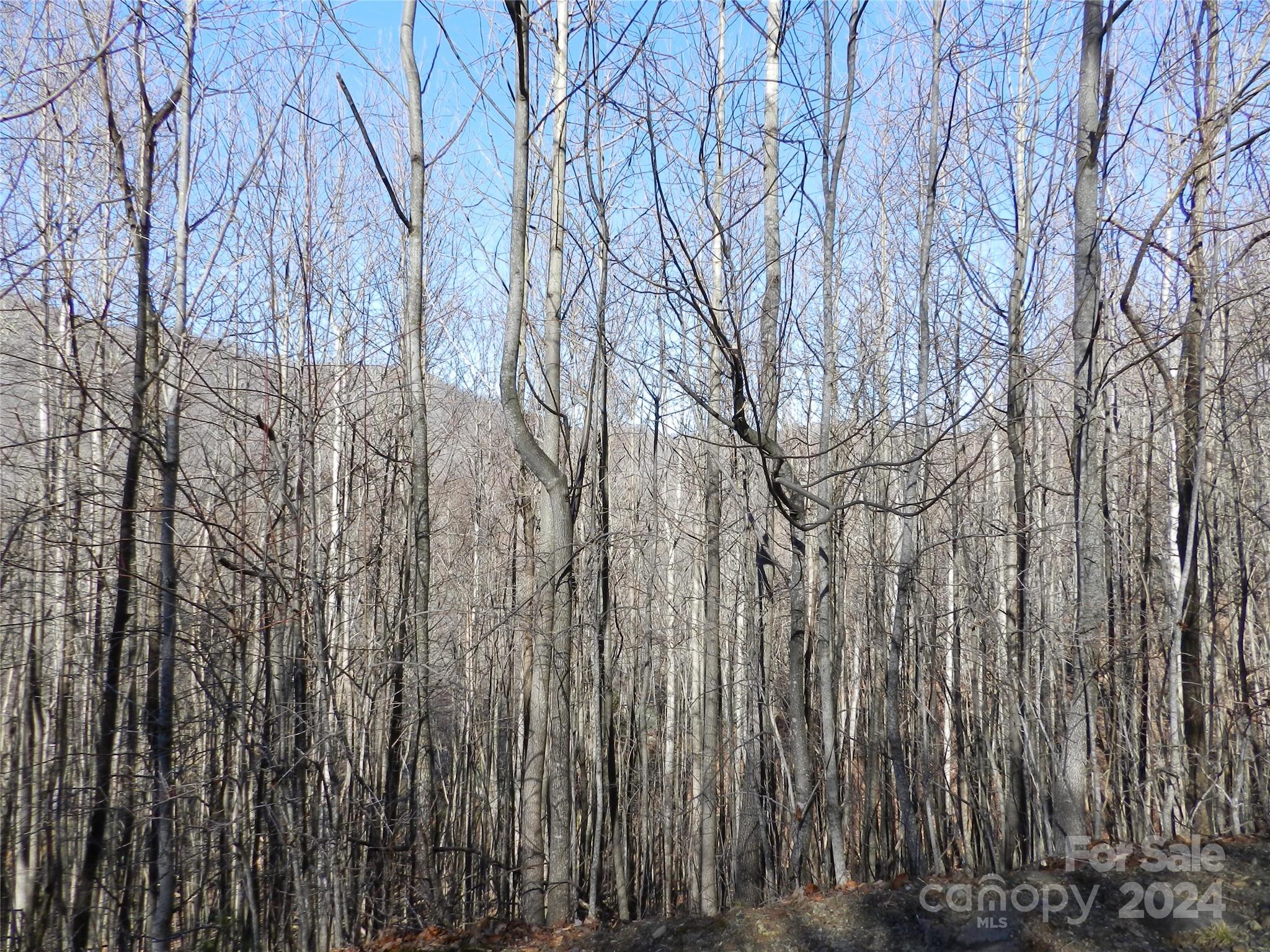 99999 Blue Mist Way Property Photo 3