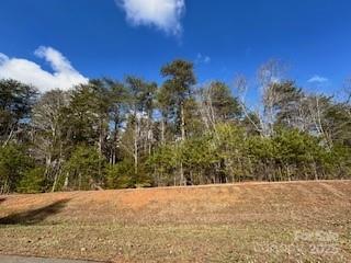 10525 Green Heron Court Property Photo 2