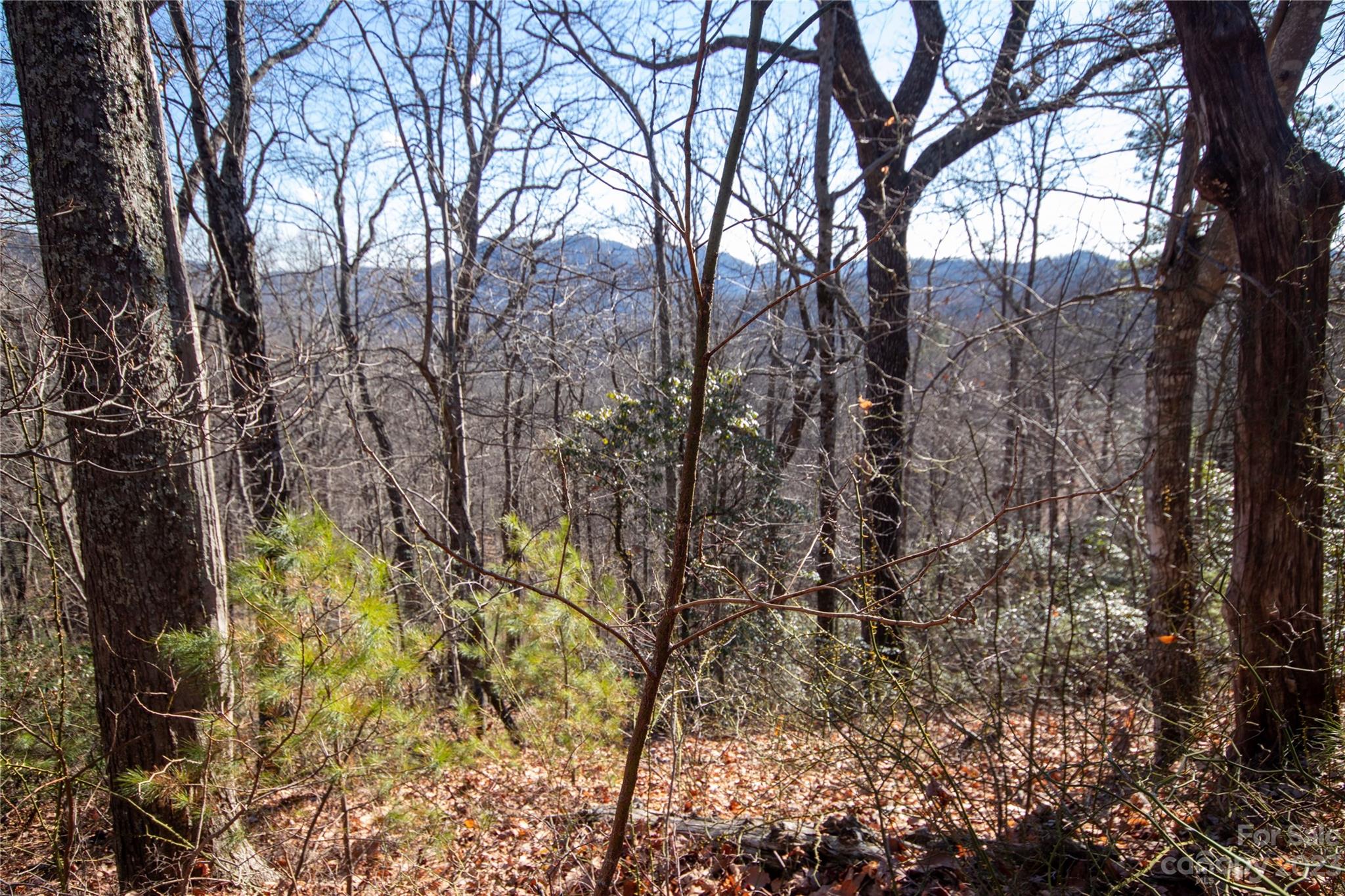 Lot# 502 Fire Crest Lane 502 Property Photo 1