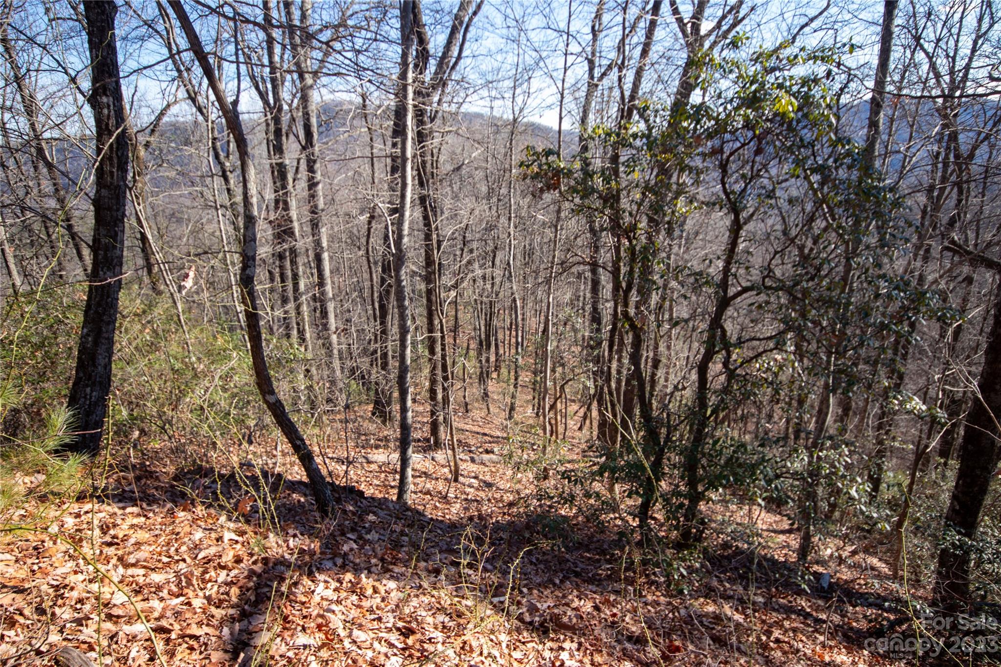 Lot# 502 Fire Crest Lane 502 Property Photo 3
