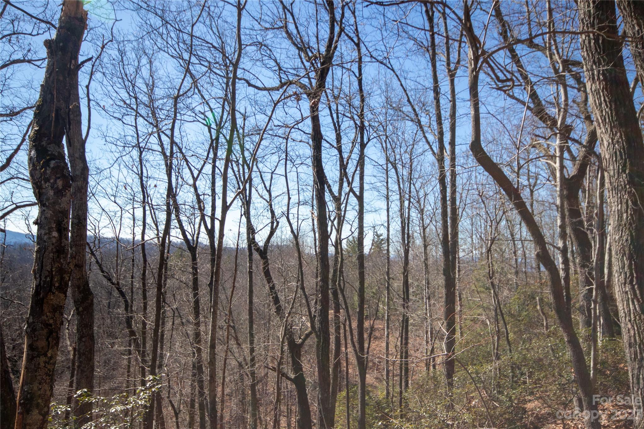 Lot# 502 Fire Crest Lane 502 Property Photo 13