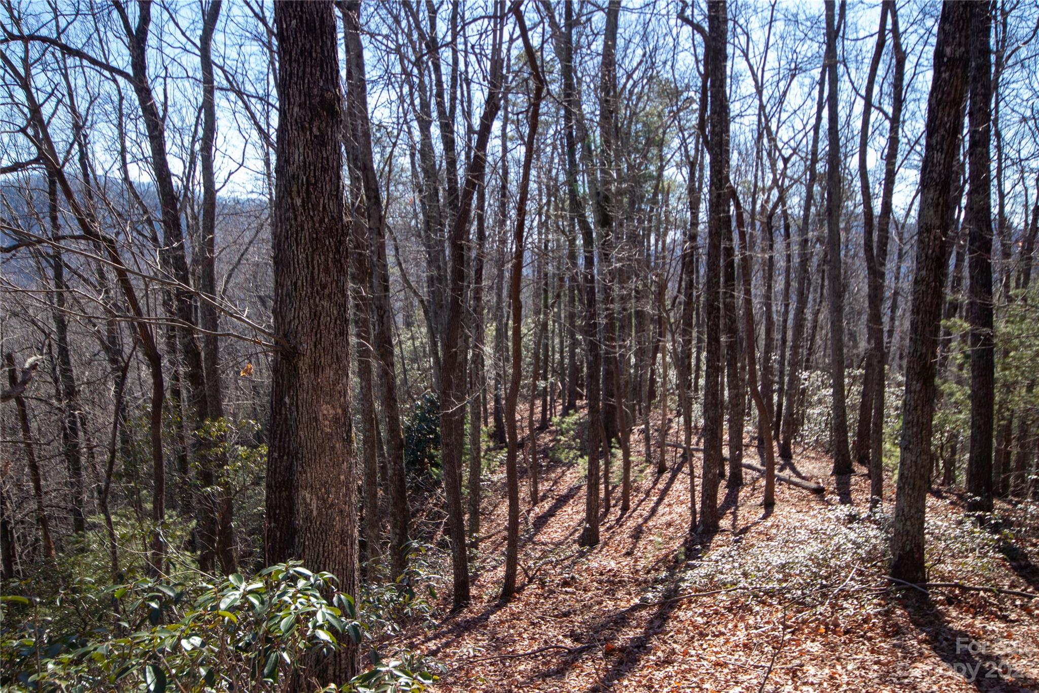 Lot# 502 Fire Crest Lane 502 Property Photo 17