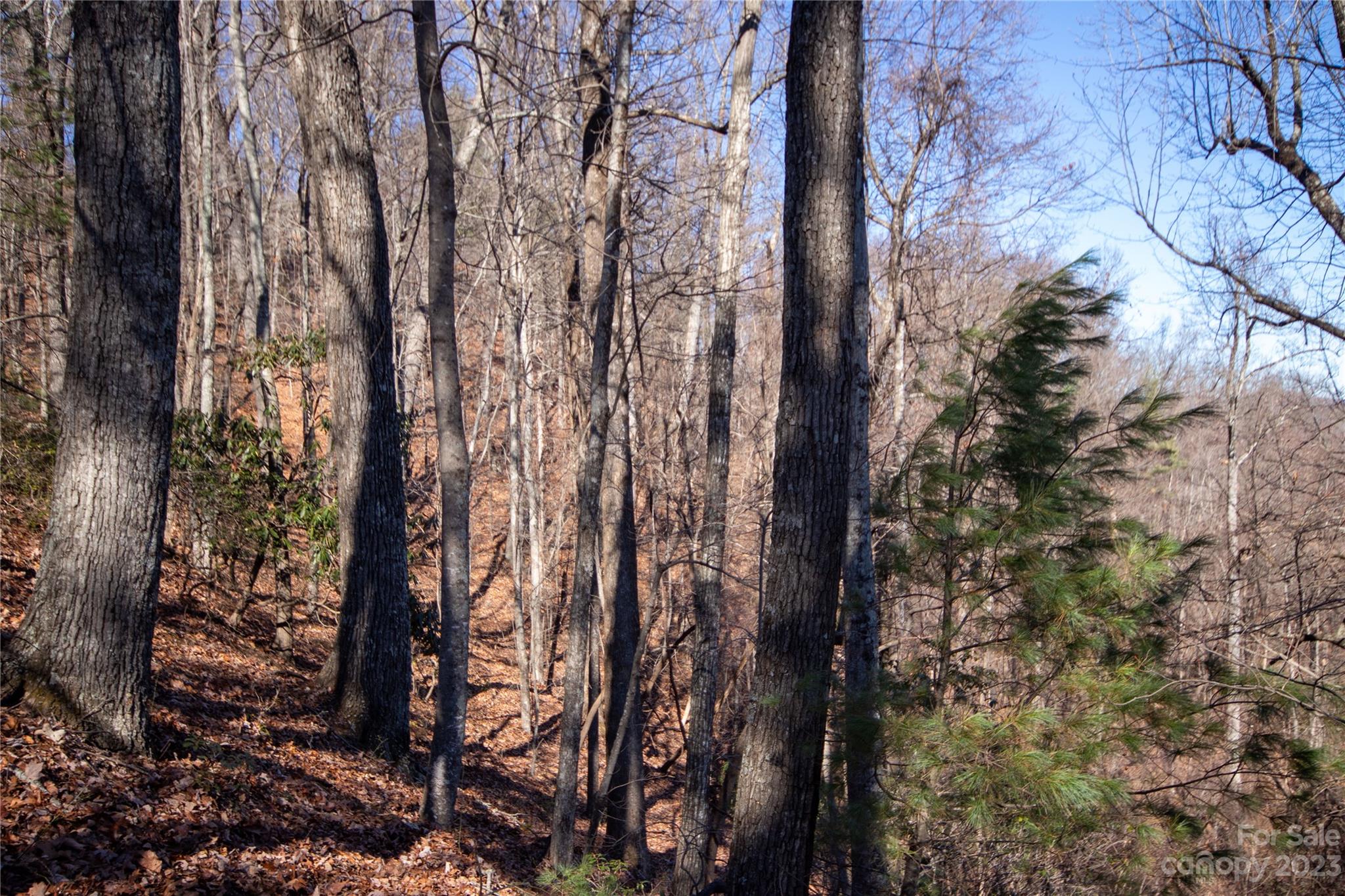 Lot# 502 Fire Crest Lane 502 Property Photo 20