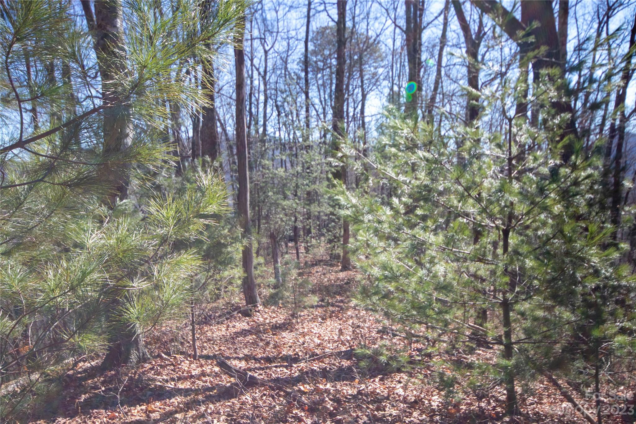 Lot# 502 Fire Crest Lane 502 Property Photo 26