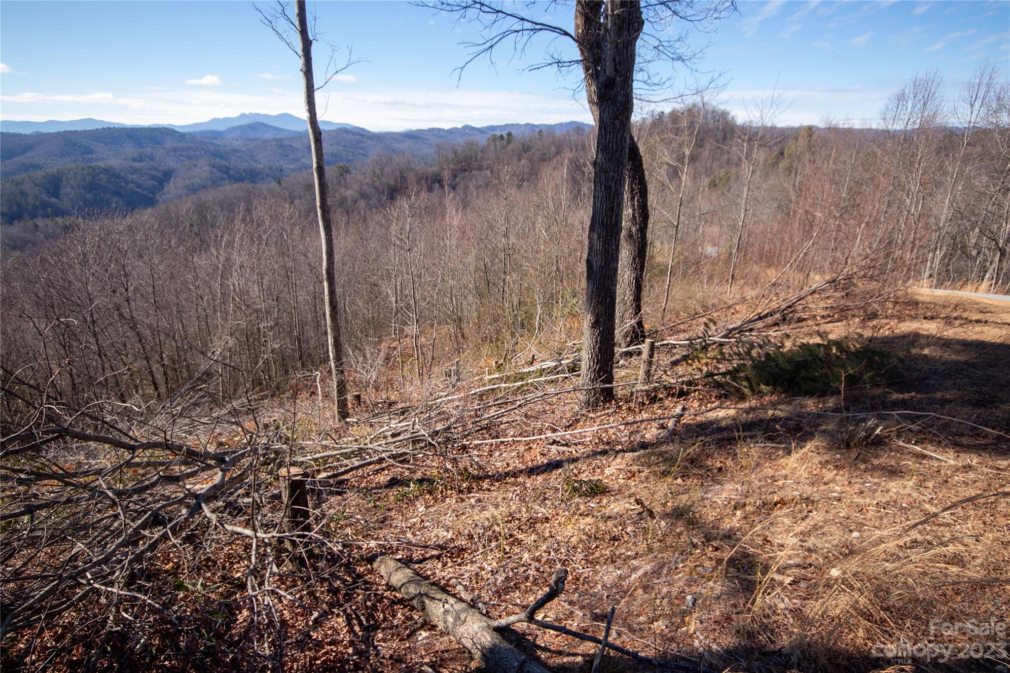 Lot# 137 Fire Crest Lane 137 Property Photo 2