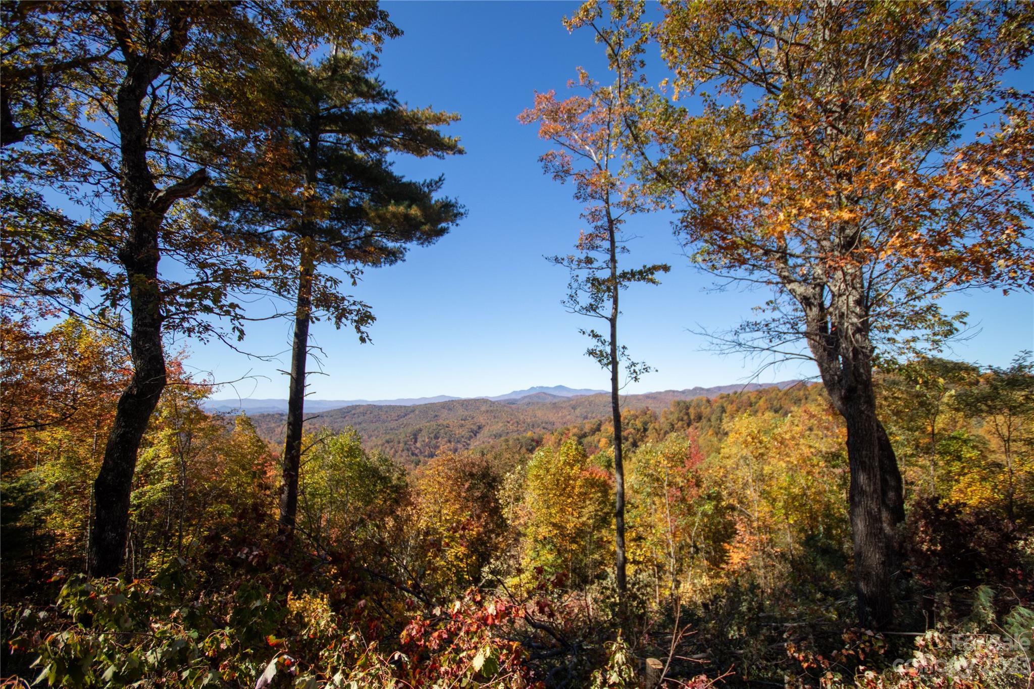 Lot# 137 Fire Crest Lane 137 Property Photo 21