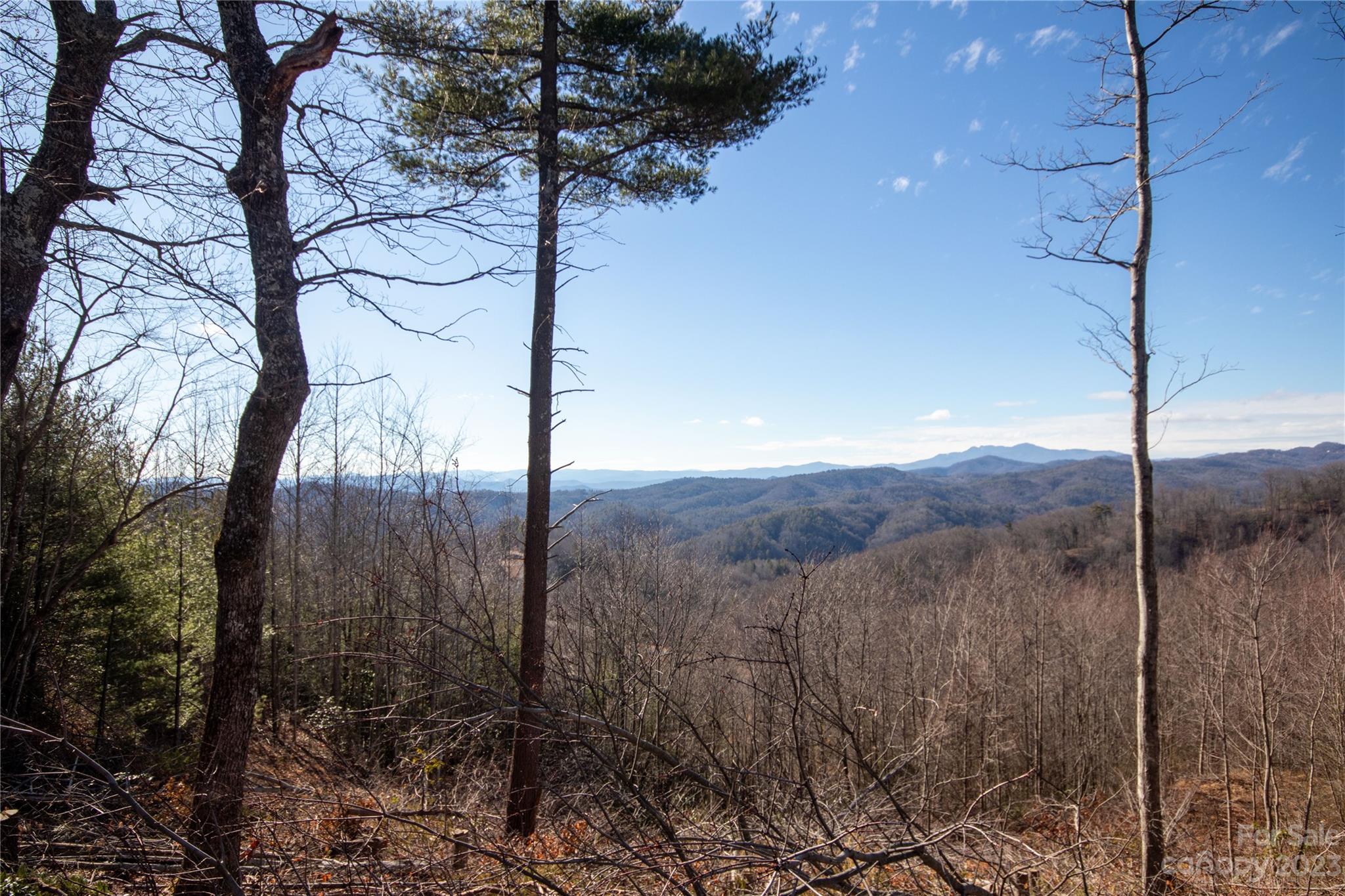 Lot# 137 Fire Crest Lane 137 Property Photo 28