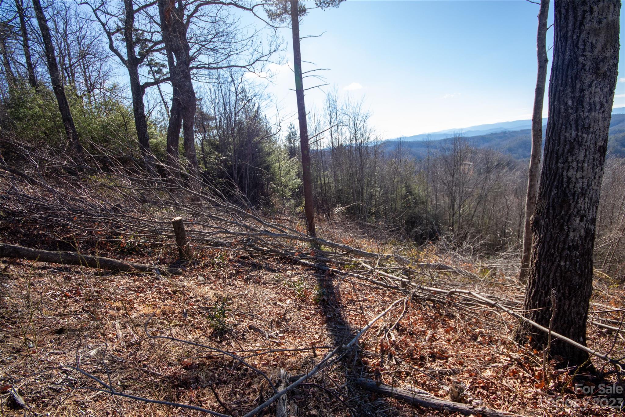 Lot# 137 Fire Crest Lane 137 Property Photo 30