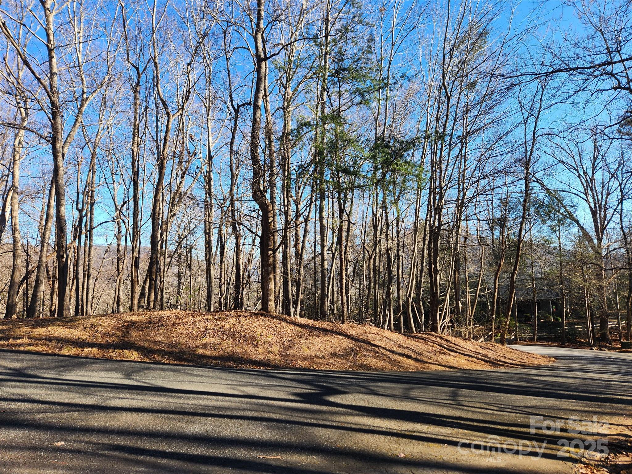Lot 218 Bolt Road Property Photo 1