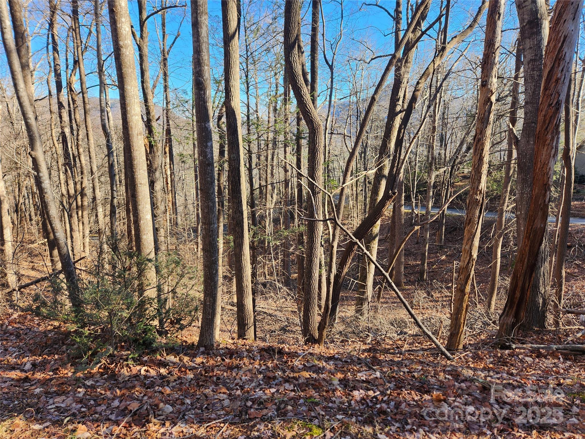 Lot 218 Bolt Road Property Photo 2
