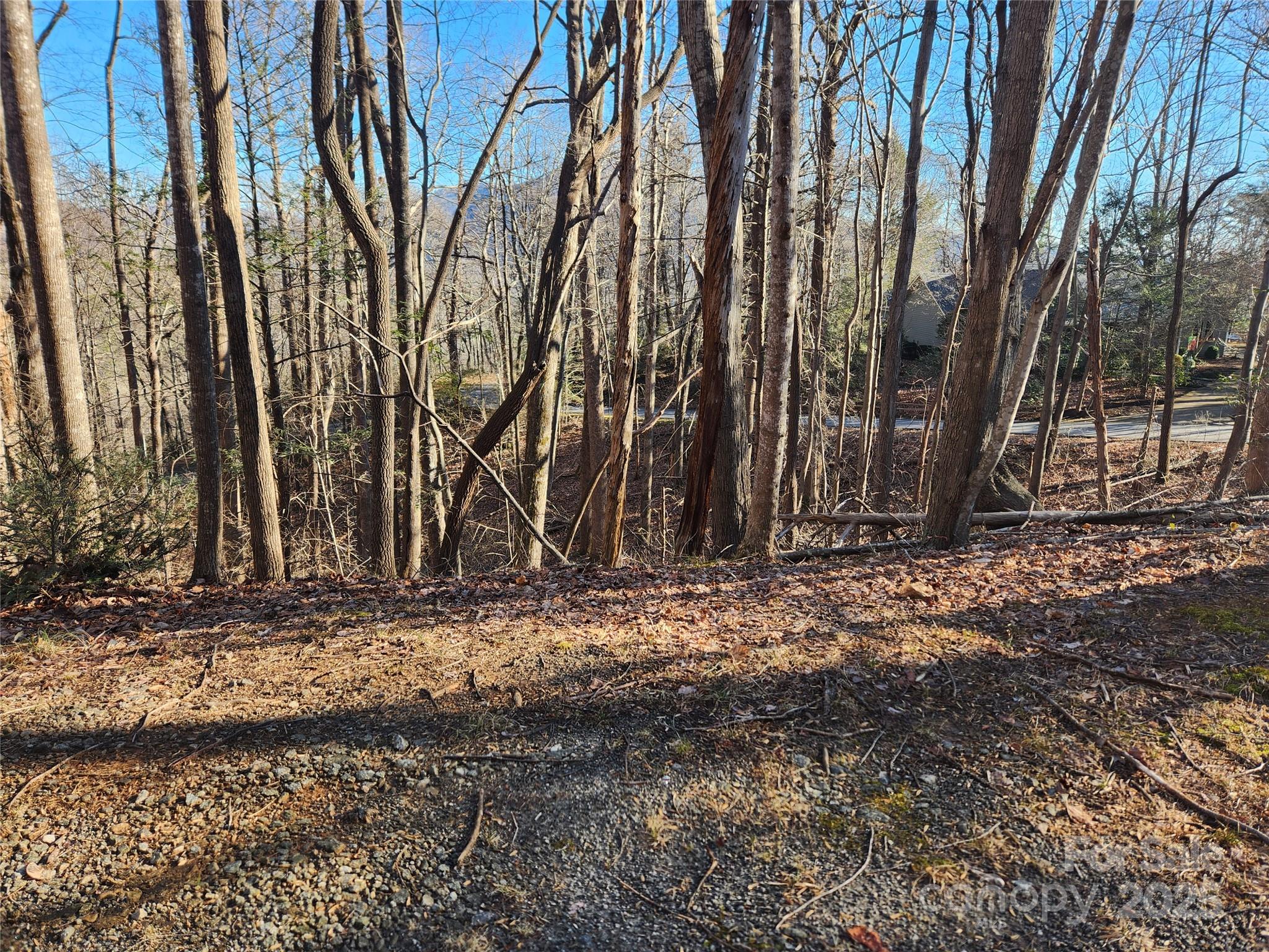 Lot 218 Bolt Road Property Photo 3