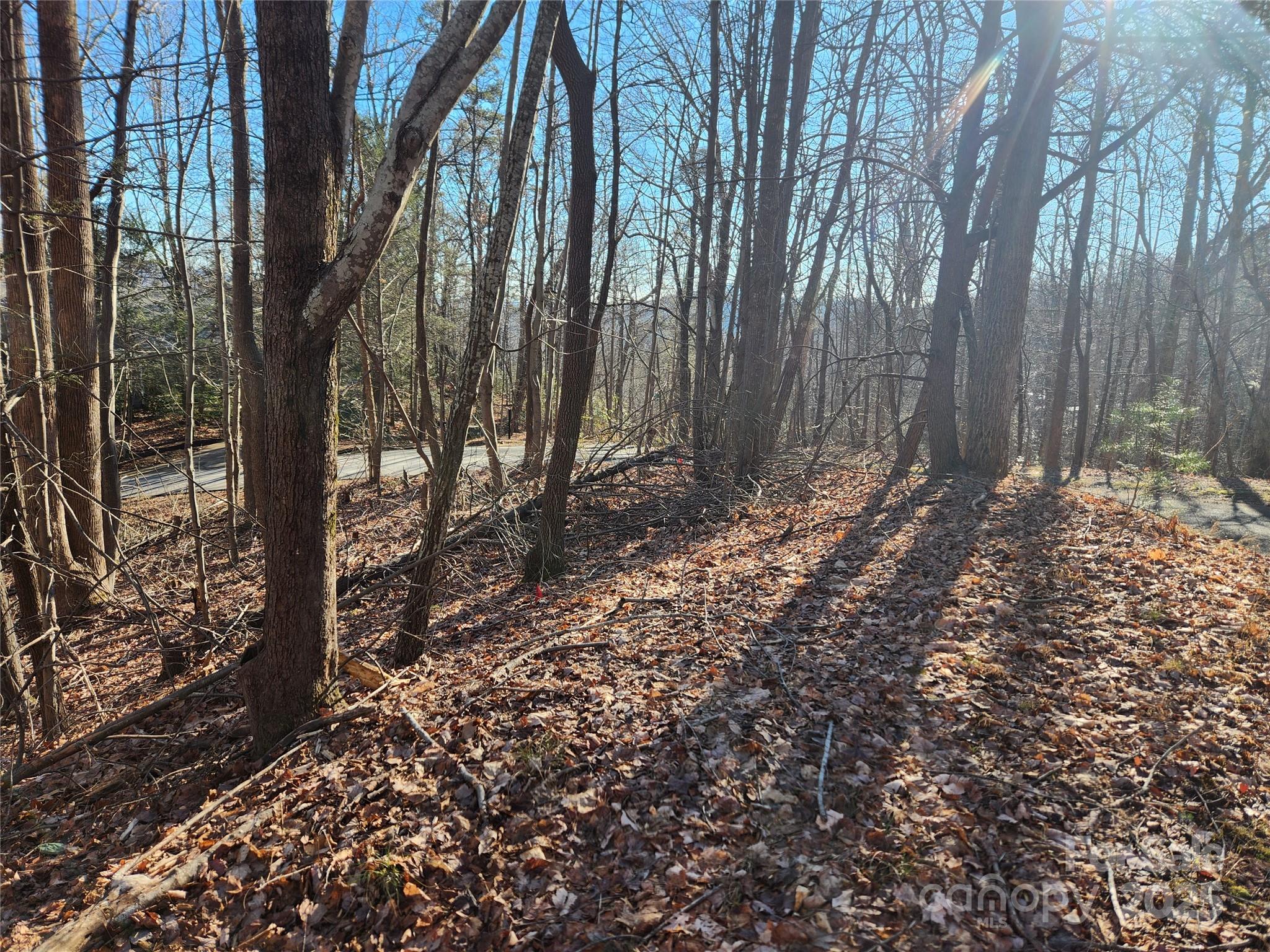 Lot 218 Bolt Road Property Photo 5