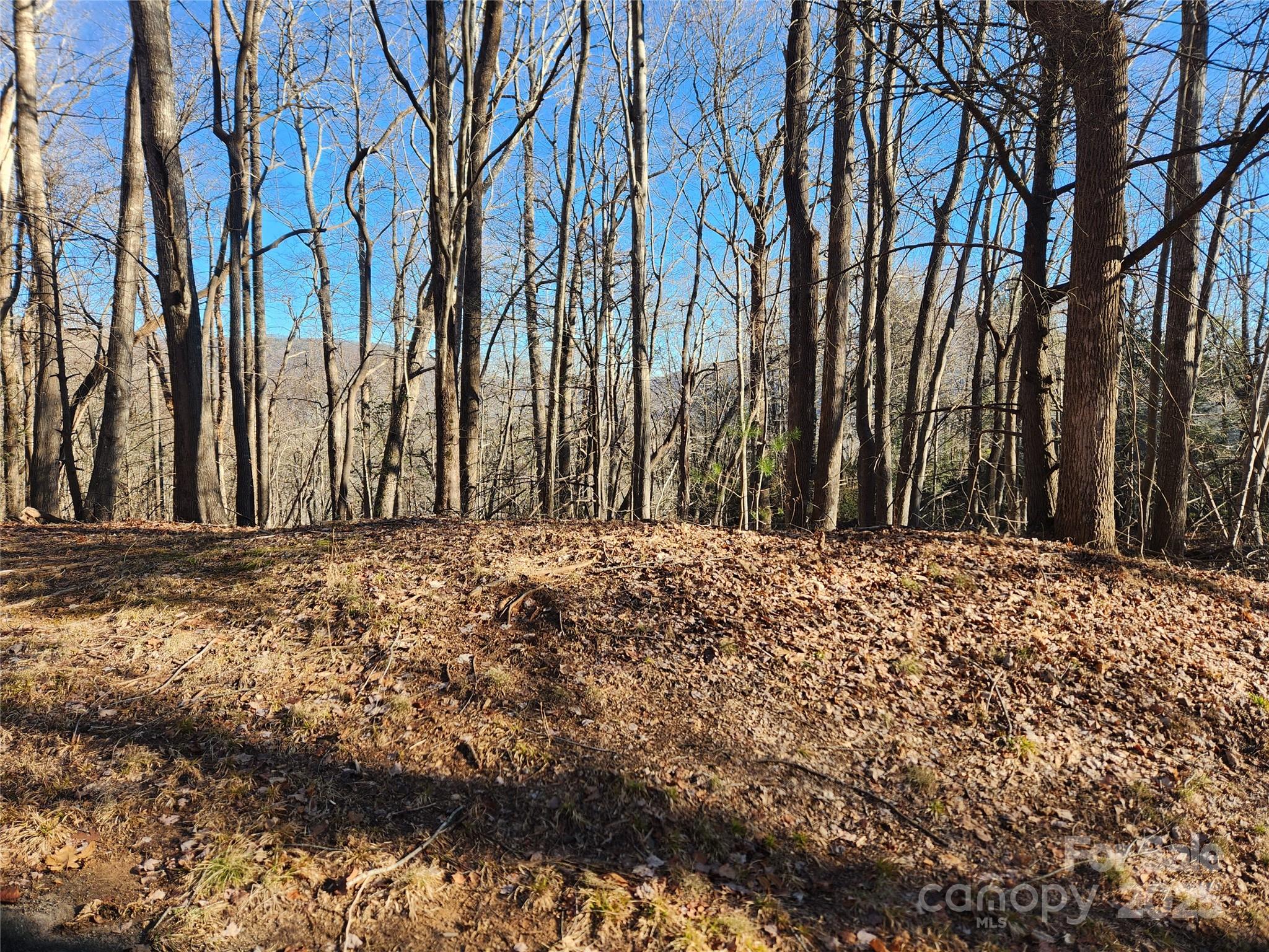 Lot 218 Bolt Road Property Photo 6