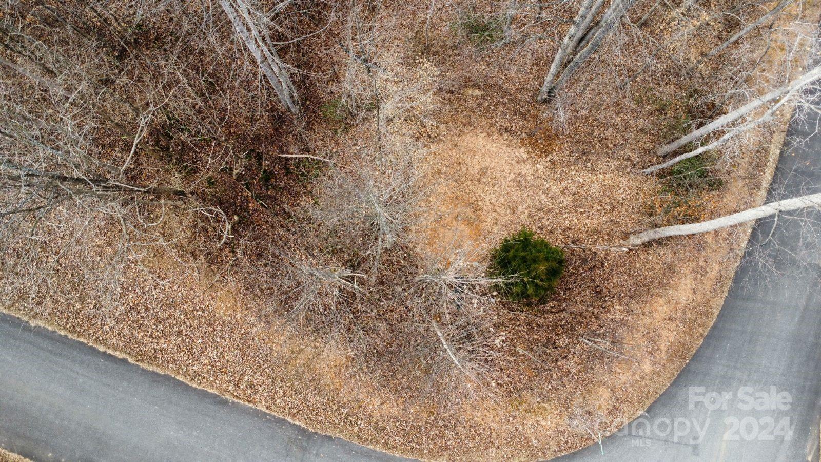 Lot #73 Black Lark Drive Property Photo 2