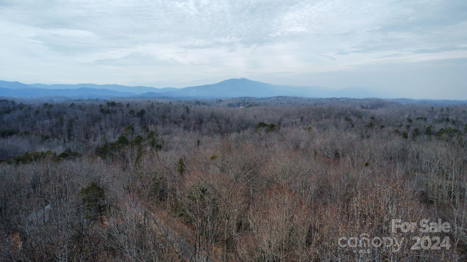 Lot #73 Black Lark Drive Property Photo 3