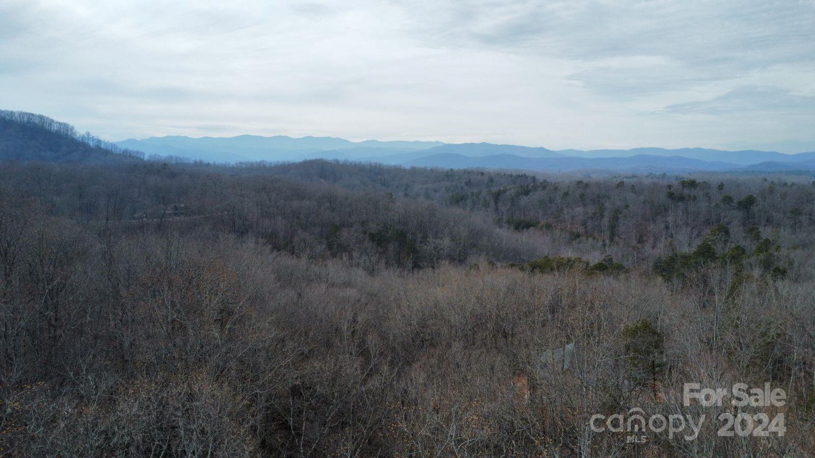 Lot #73 Black Lark Drive Property Photo 4