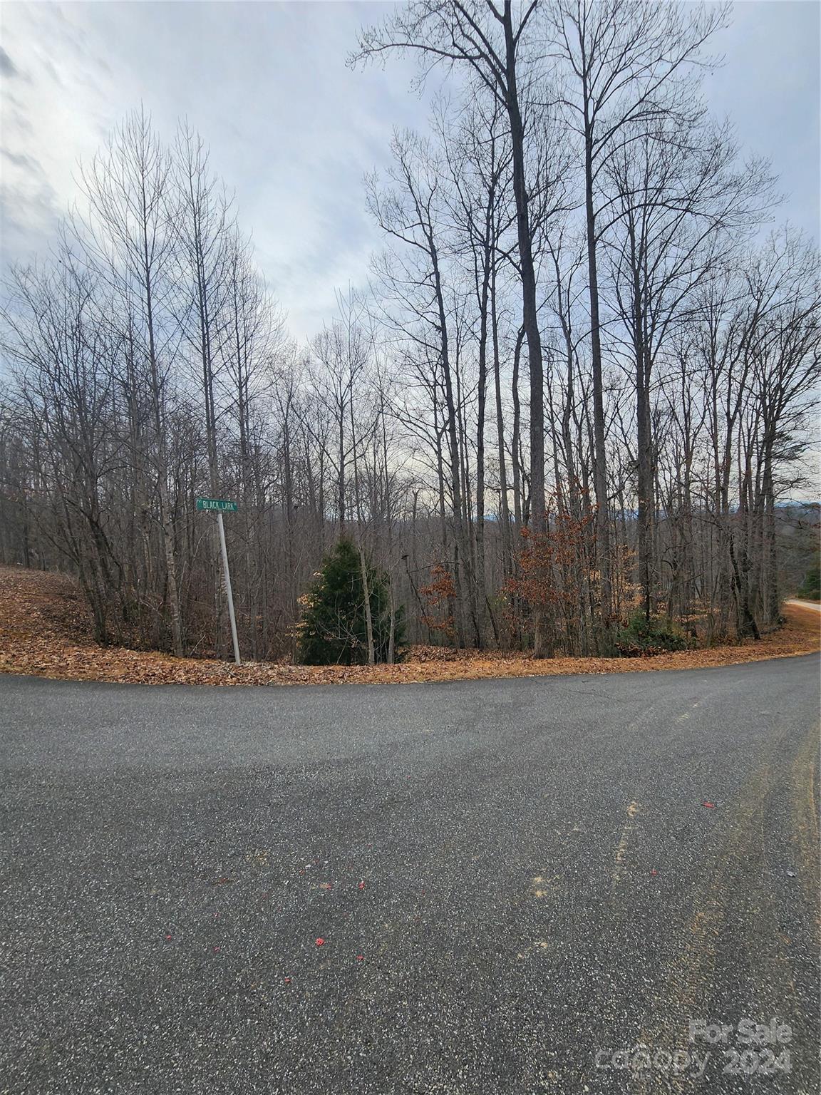 Lot #73 Black Lark Drive Property Photo 6