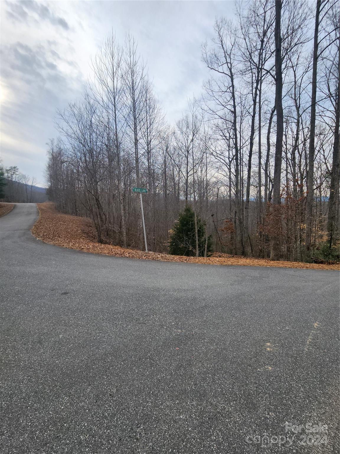 Lot #73 Black Lark Drive Property Photo 7