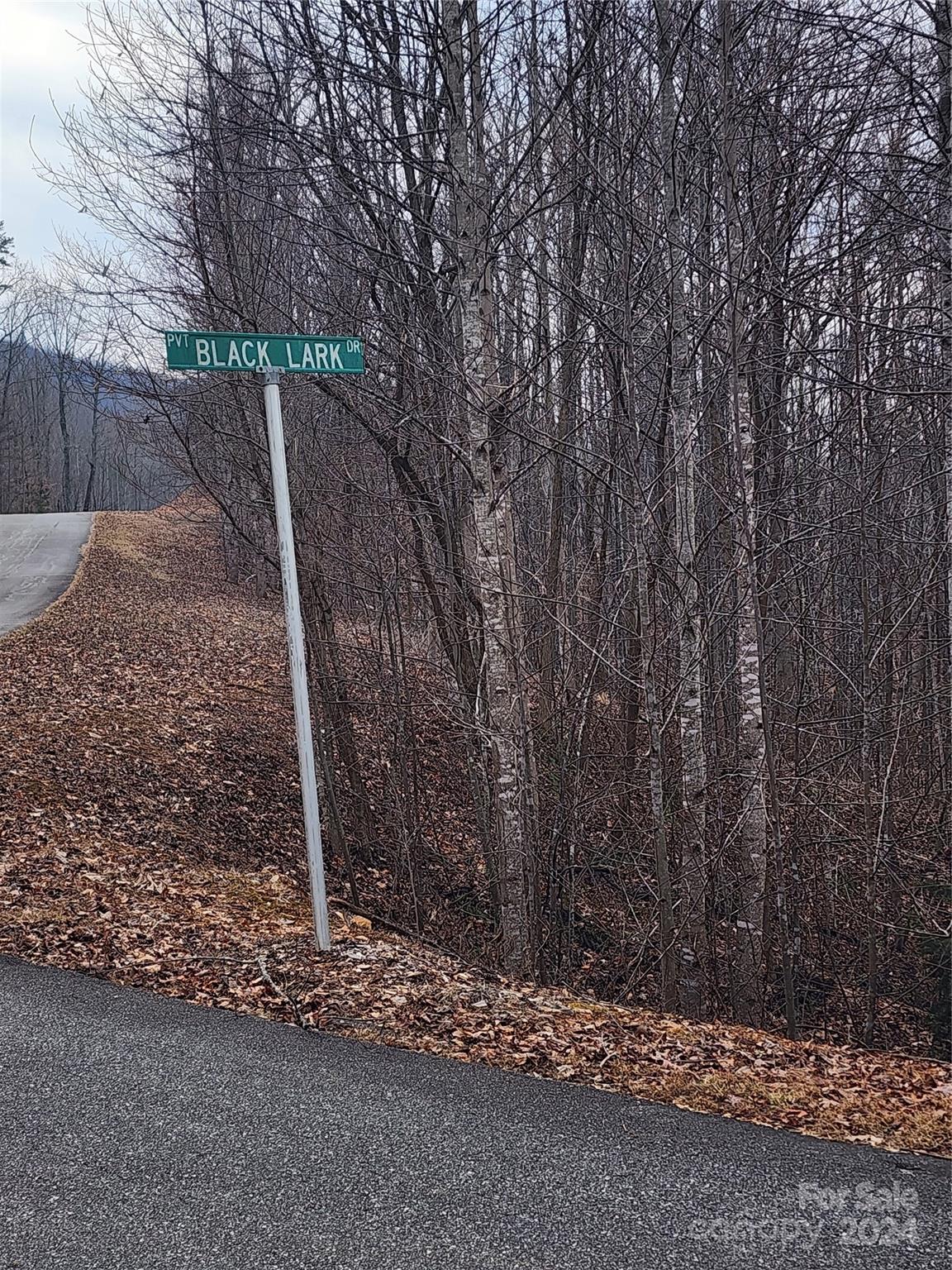 Lot #73 Black Lark Drive Property Photo 8