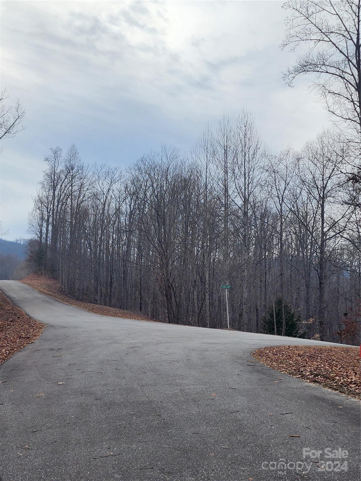 Lot #73 Black Lark Drive Property Photo 9
