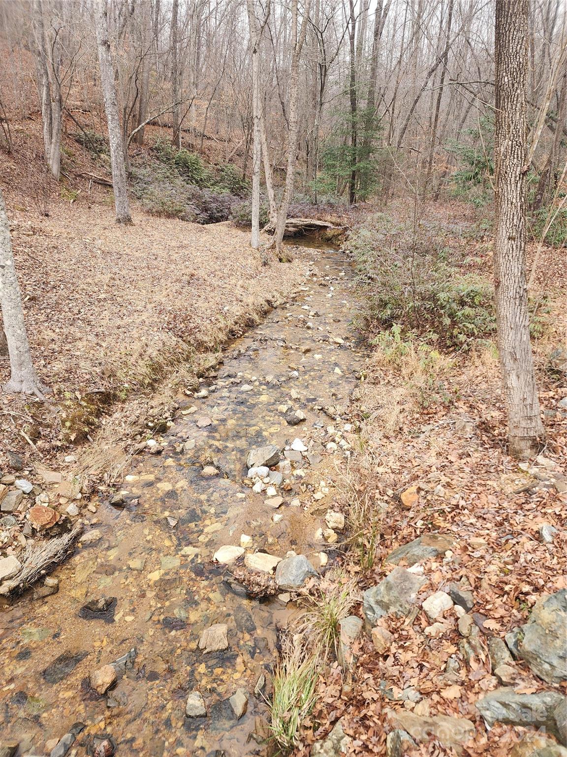Lot #73 Black Lark Drive Property Photo 10