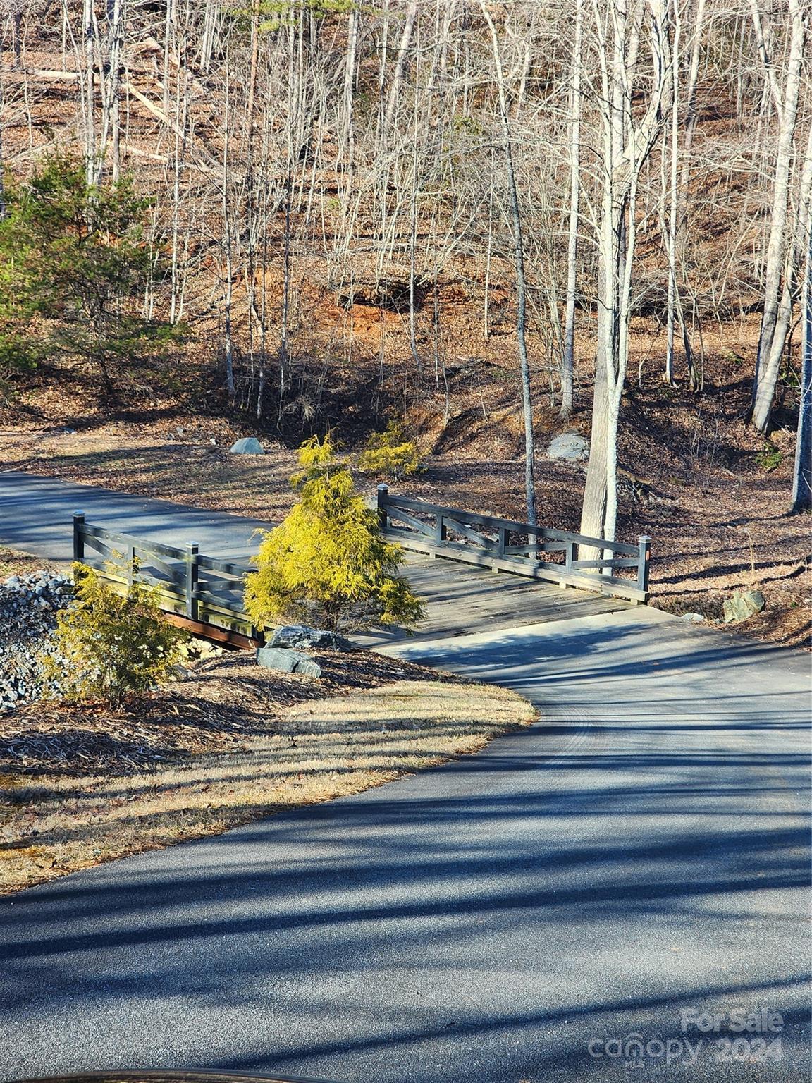 Lot #73 Black Lark Drive Property Photo 11