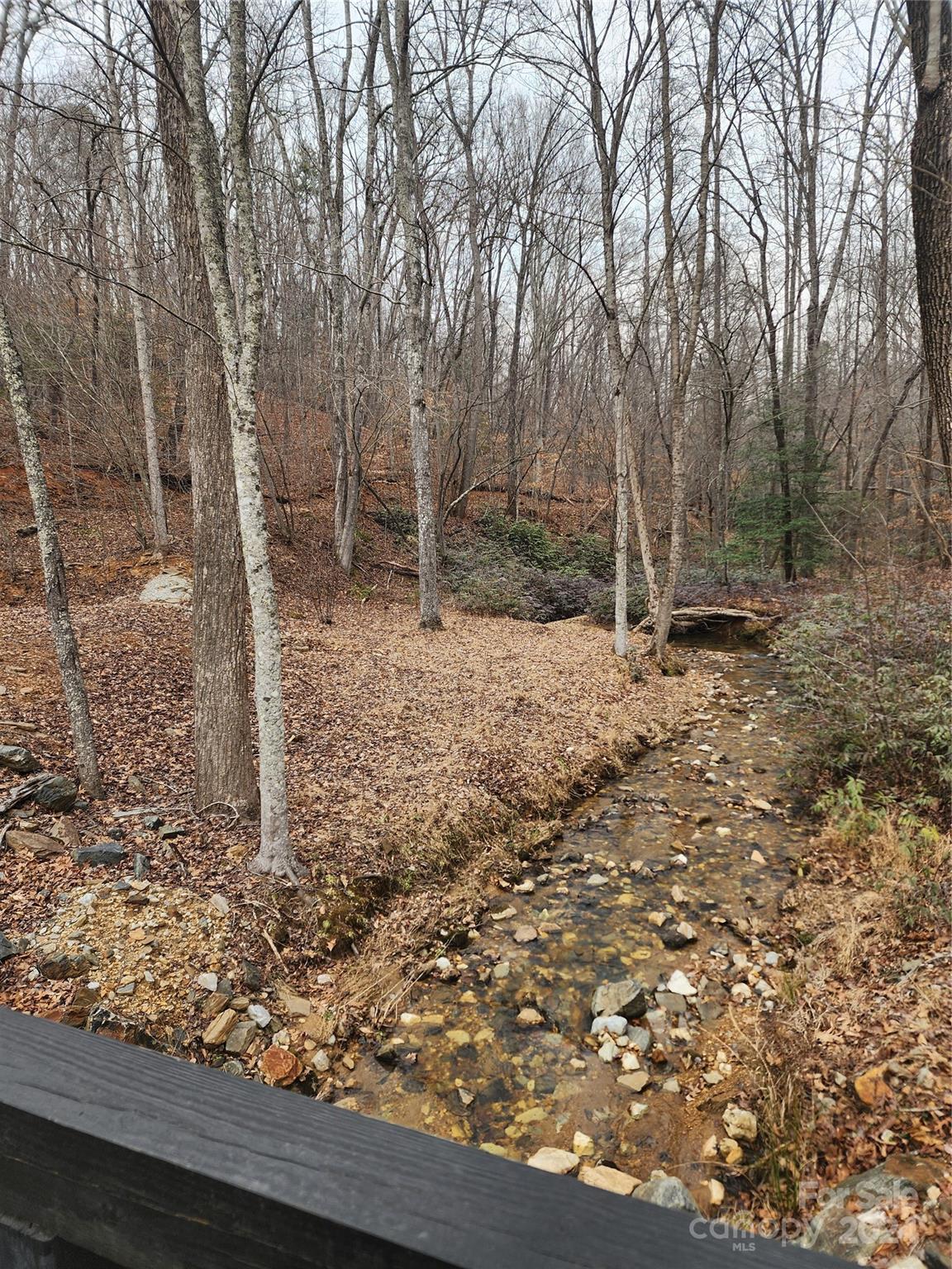 Lot #73 Black Lark Drive Property Photo 12