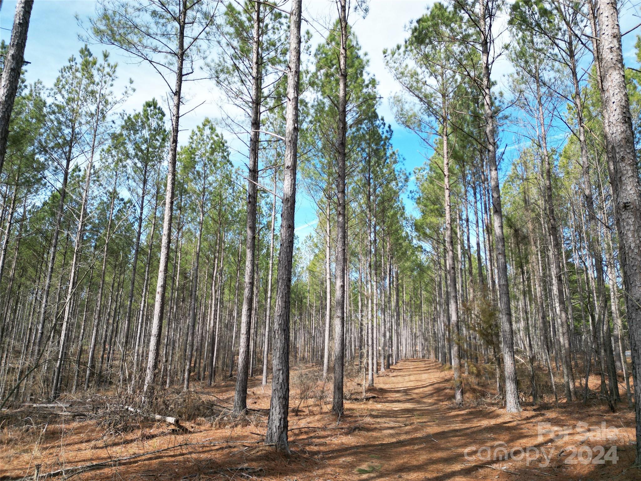 Tbd Spencer Pointe Road Lot 20c Property Photo 5
