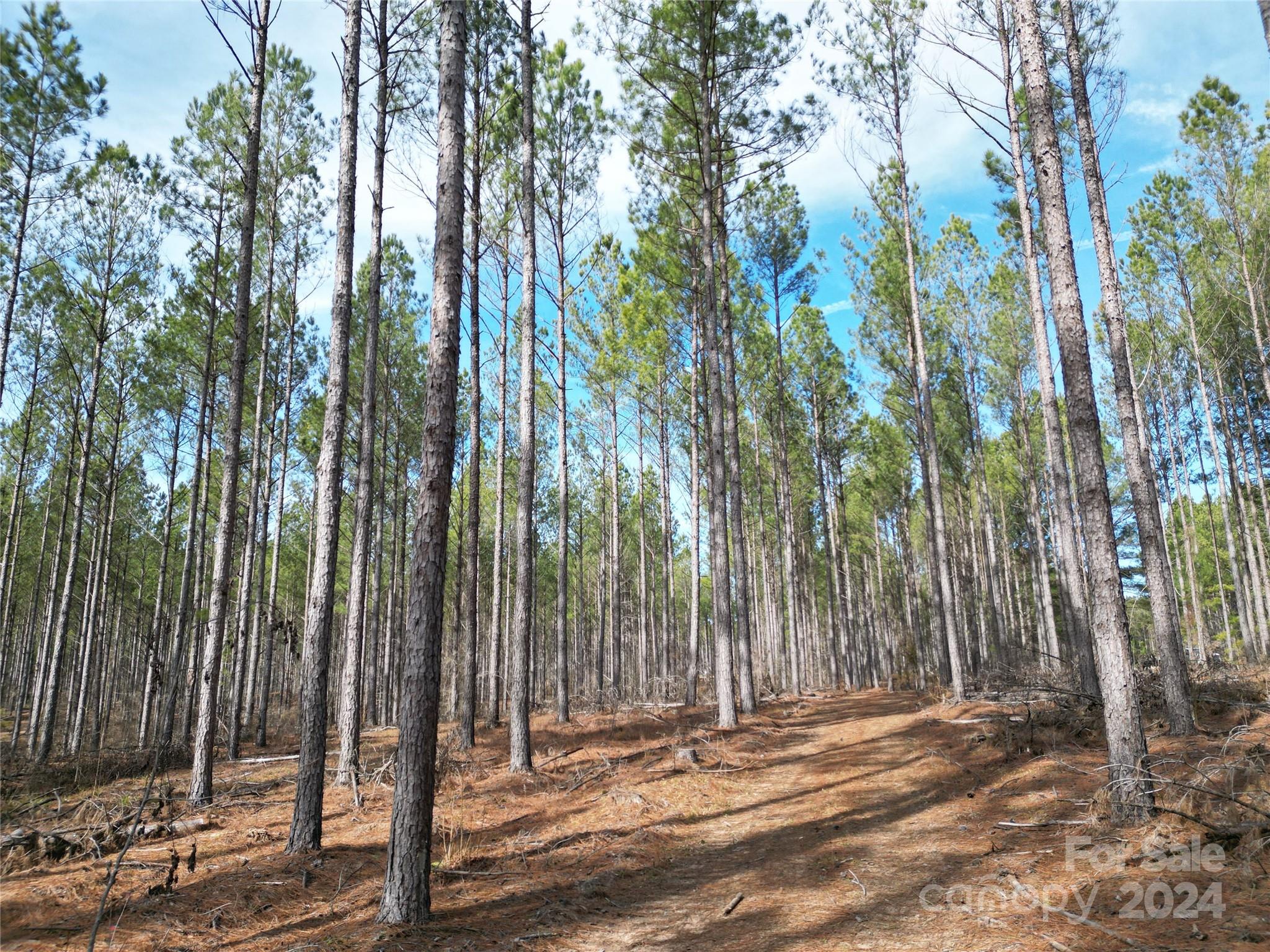 Tbd Spencer Pointe Road Lot 20c Property Photo 6