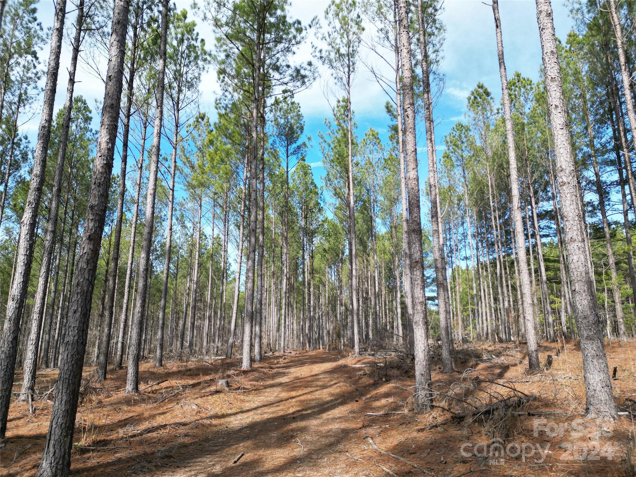 Tbd Spencer Pointe Road Lot 20c Property Photo 7