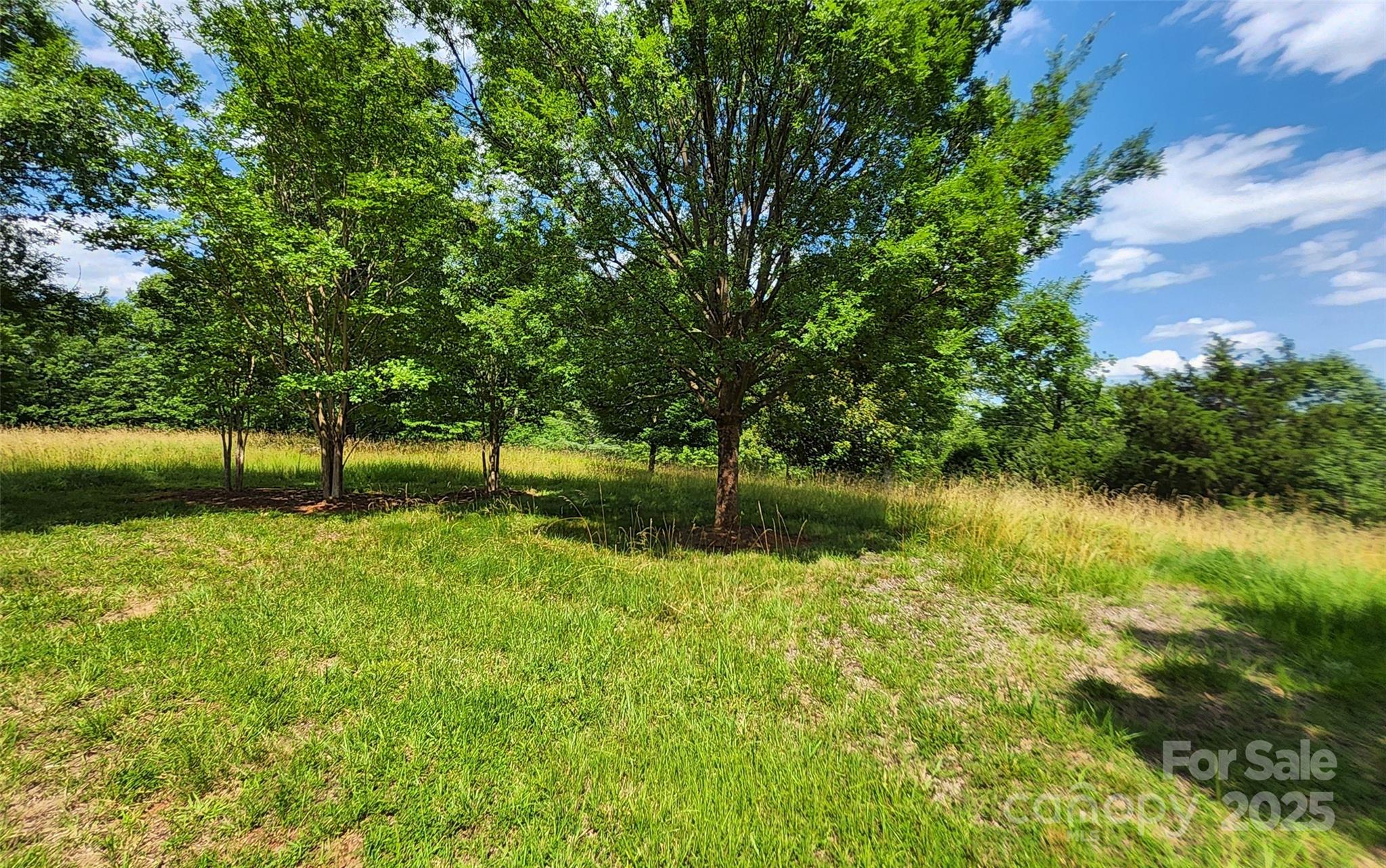0 Mountain Parkway 52/53/54 Property Photo 8