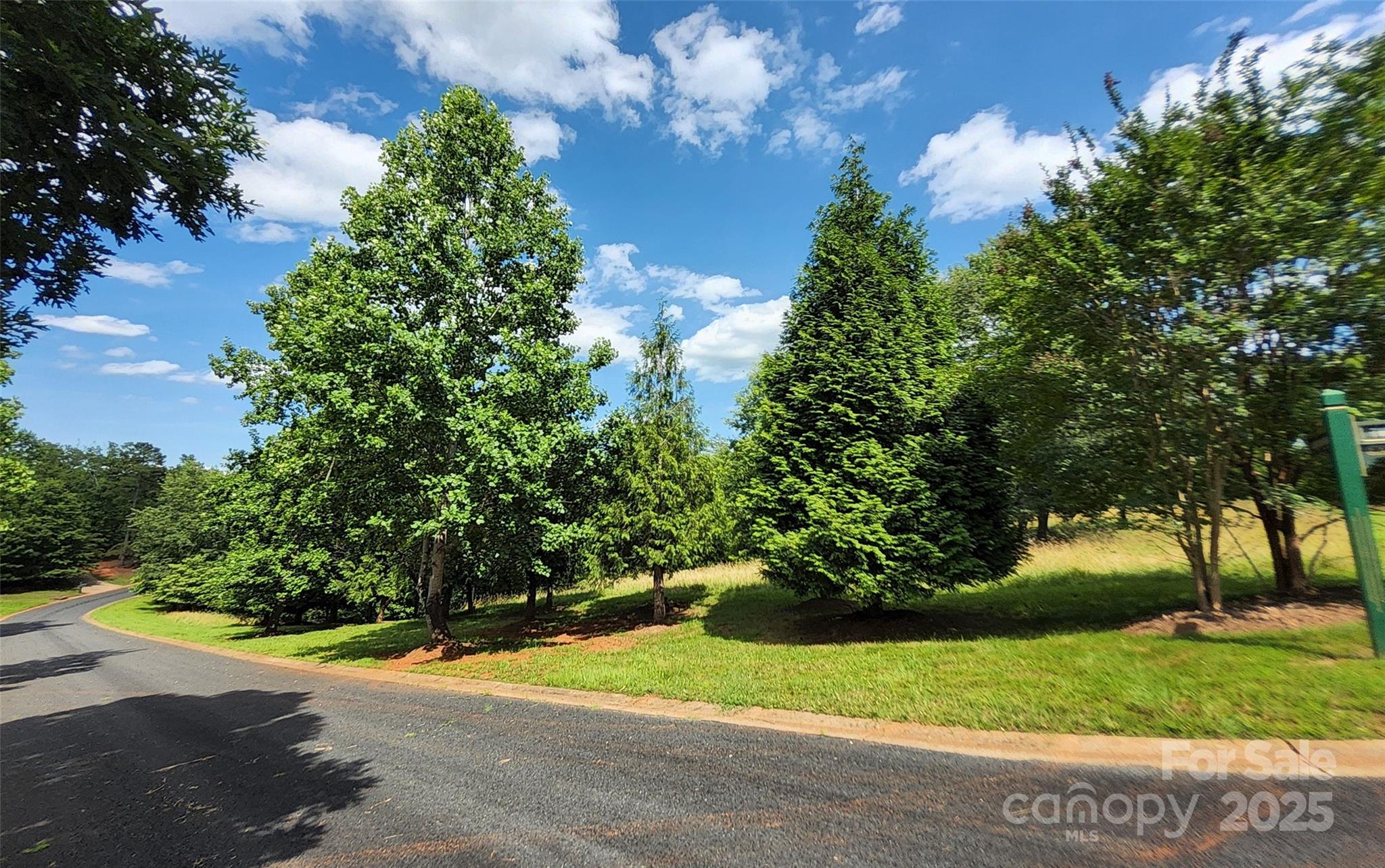 0 Mountain Parkway 52/53/54 Property Photo 12