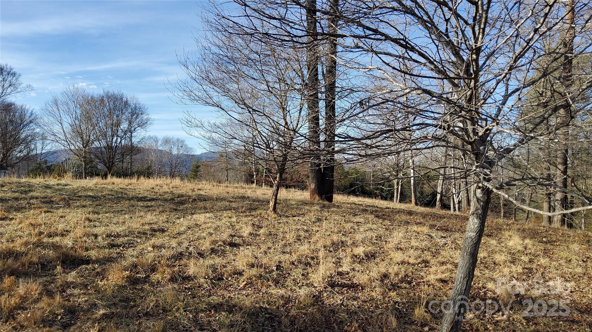 0 Mountain Parkway 52/53/54 Property Photo 17