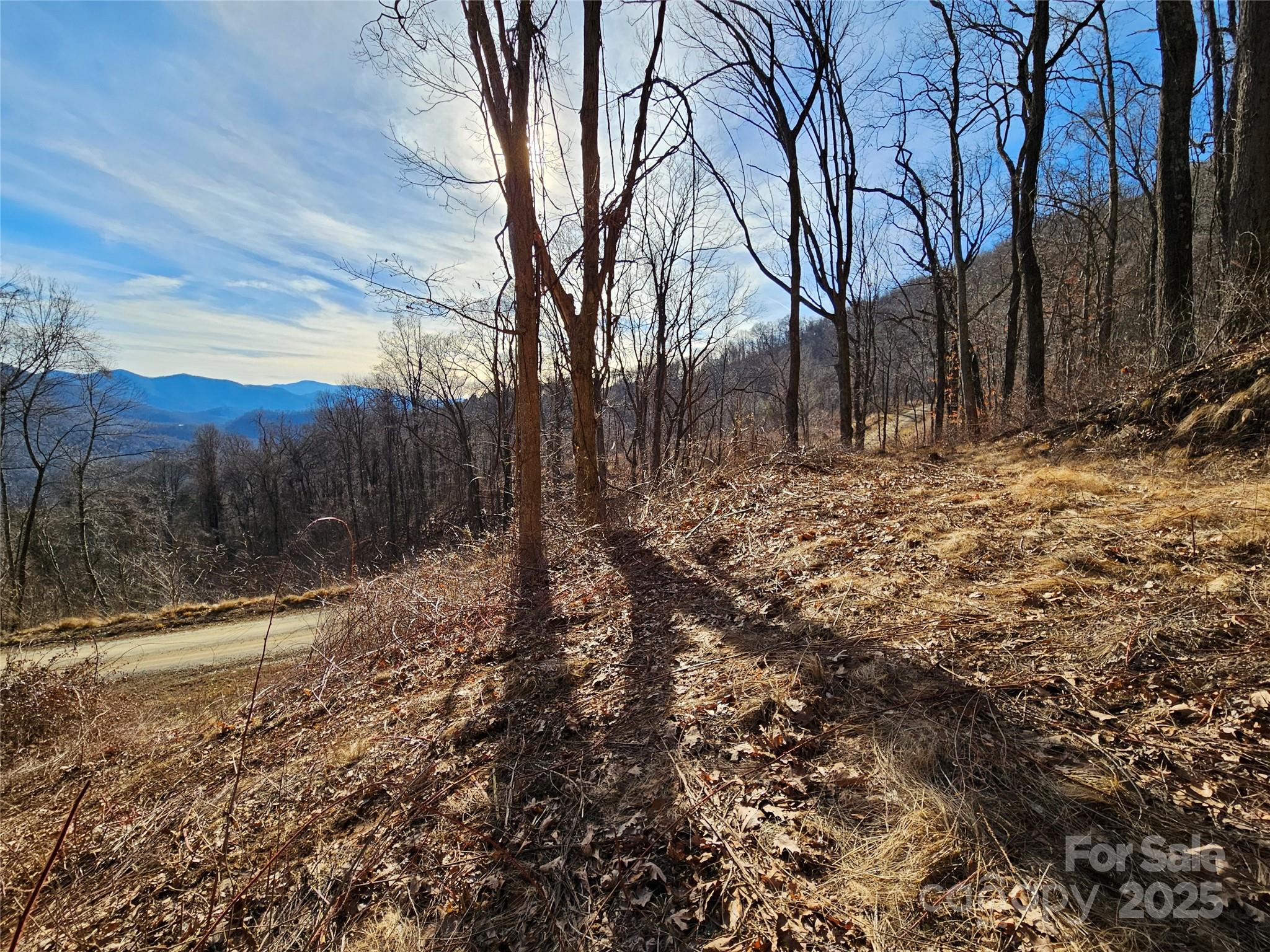 999 High Rock View Drive 36 Property Photo 12
