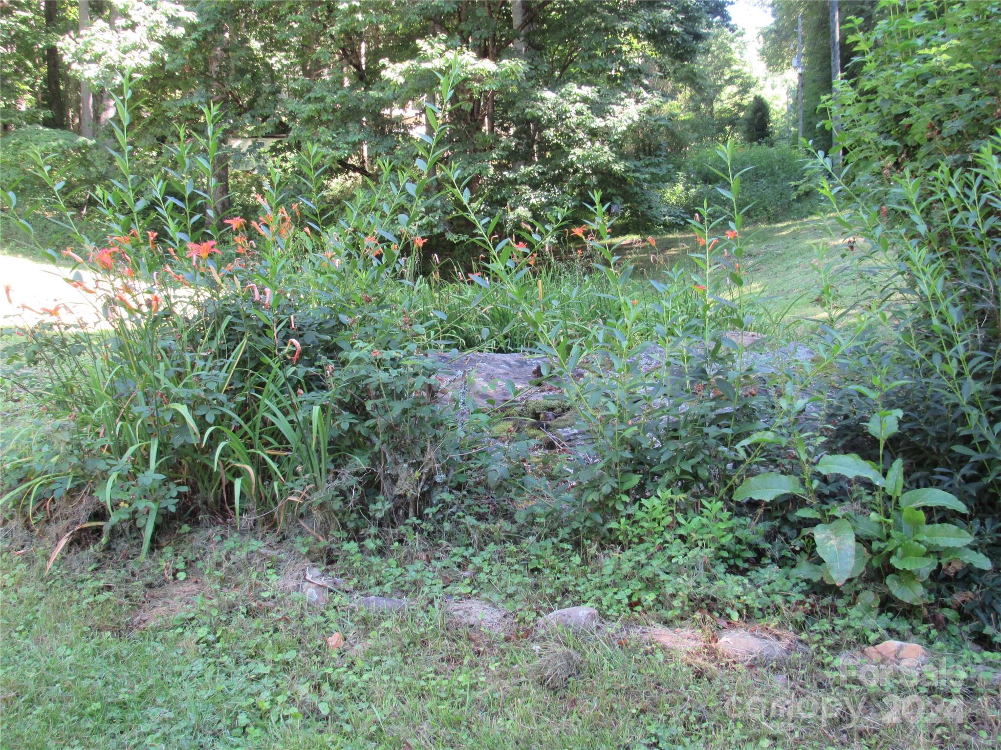 664 Woodfin Road Property Photo 14