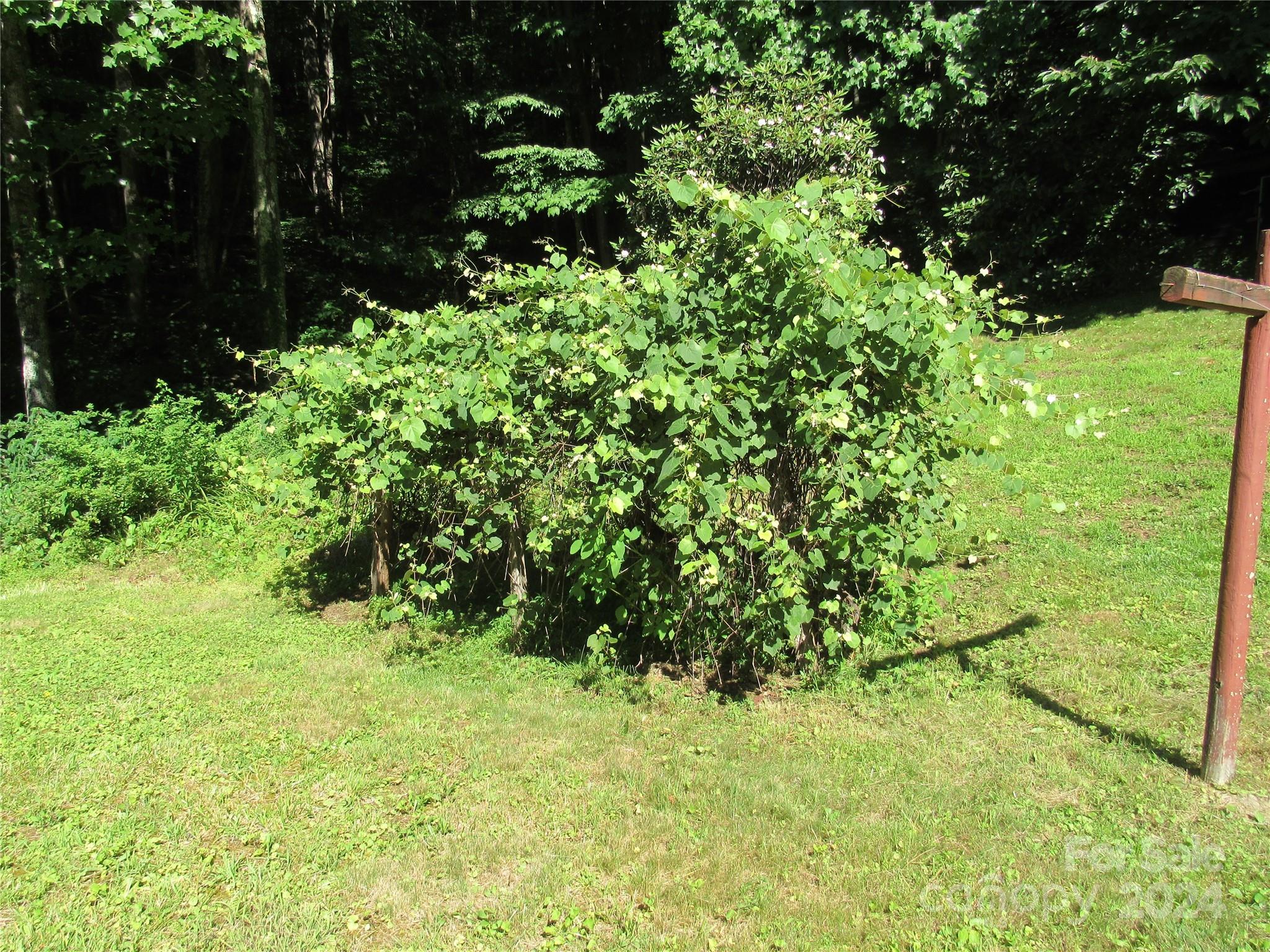 664 Woodfin Road Property Photo 16