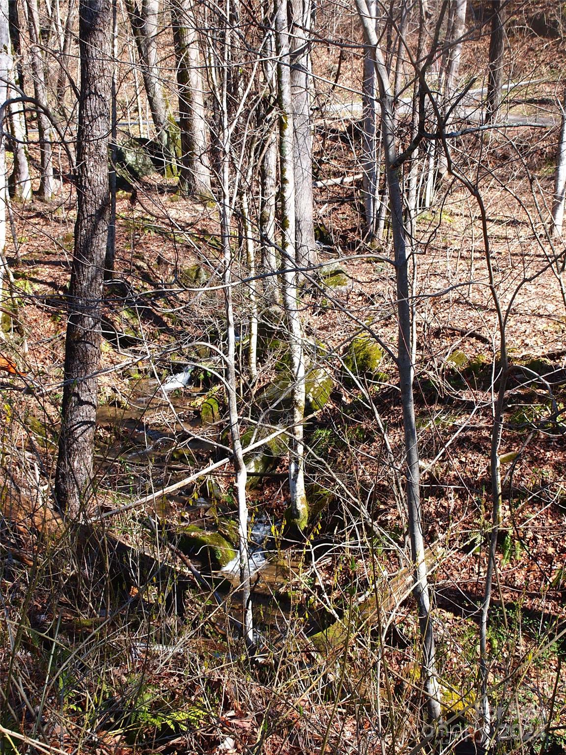 664 Woodfin Road Property Photo 29