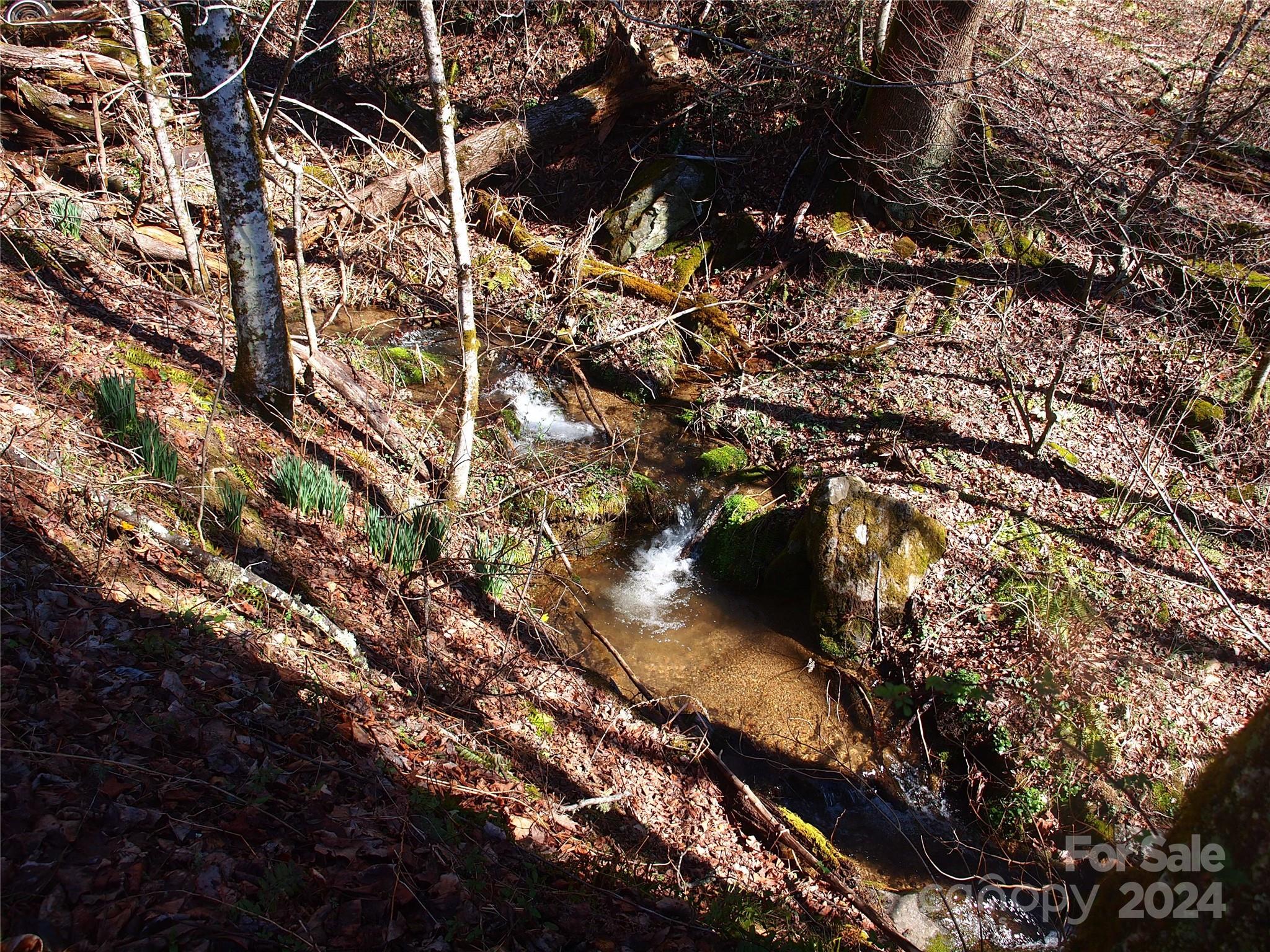 664 Woodfin Road Property Photo 31