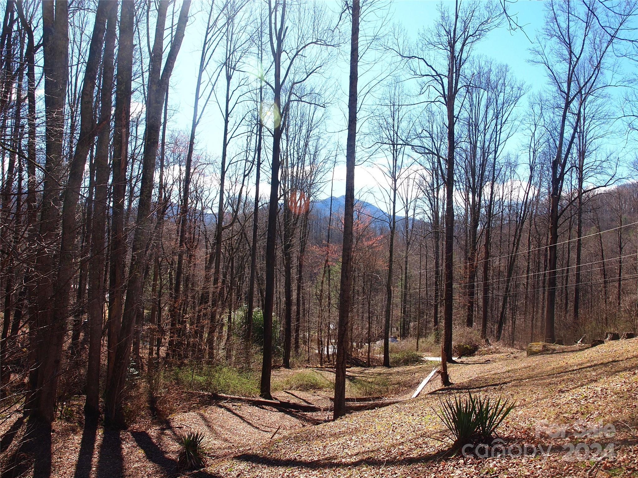 664 Woodfin Road Property Photo 33
