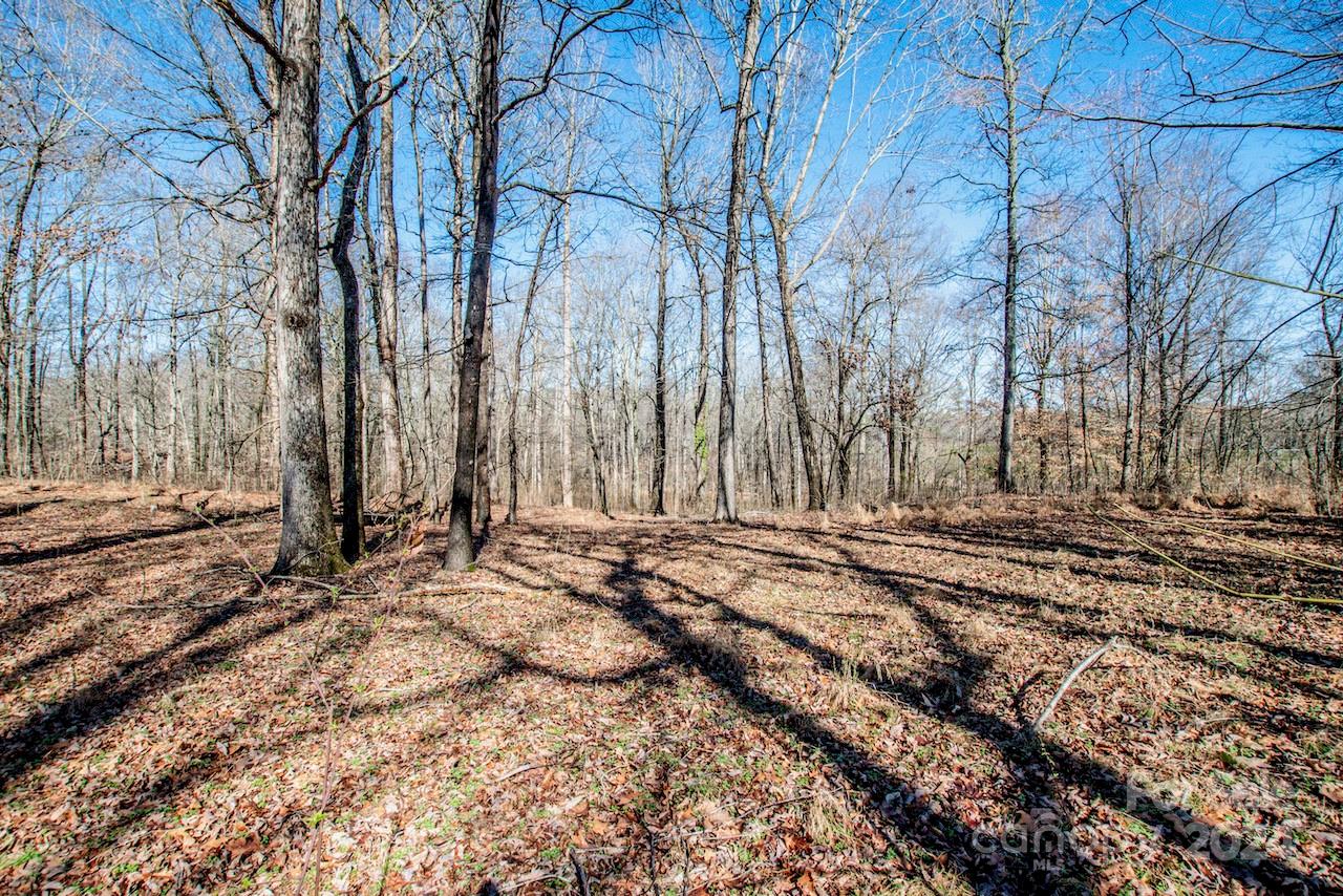 1095 Mount Ulla Highway Property Photo 22