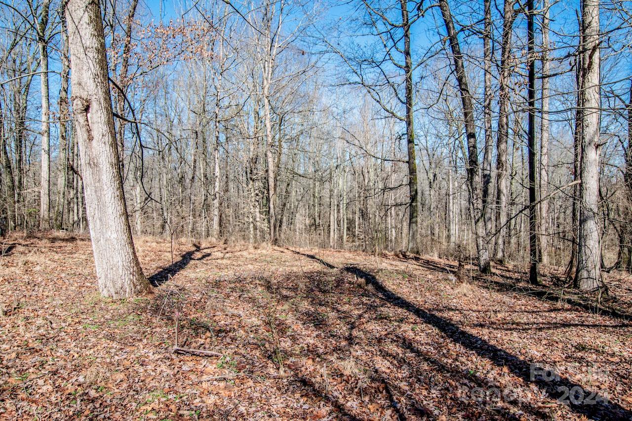 1095 Mount Ulla Highway Property Photo 23