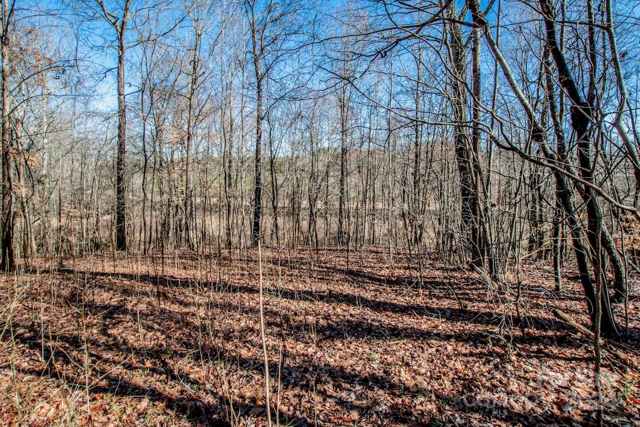 1095 Mount Ulla Highway Property Photo 25