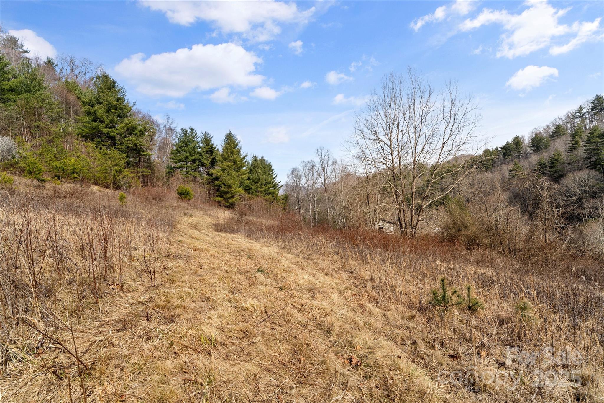 10999 Rush Fork Road Property Photo 25
