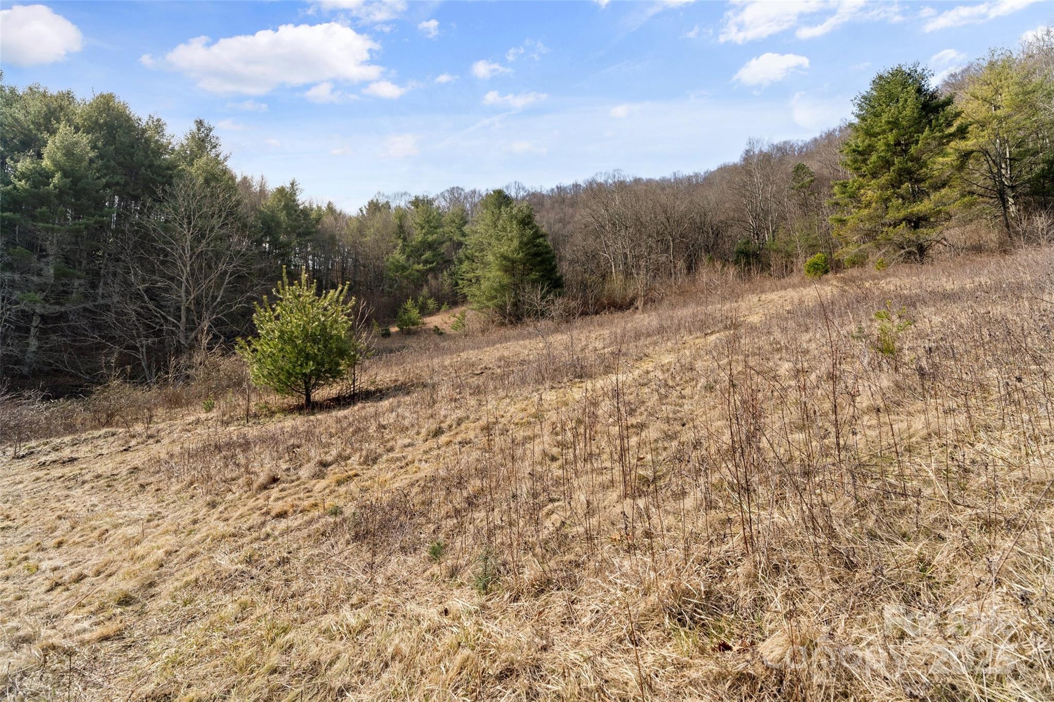 10999 Rush Fork Road Property Photo 26